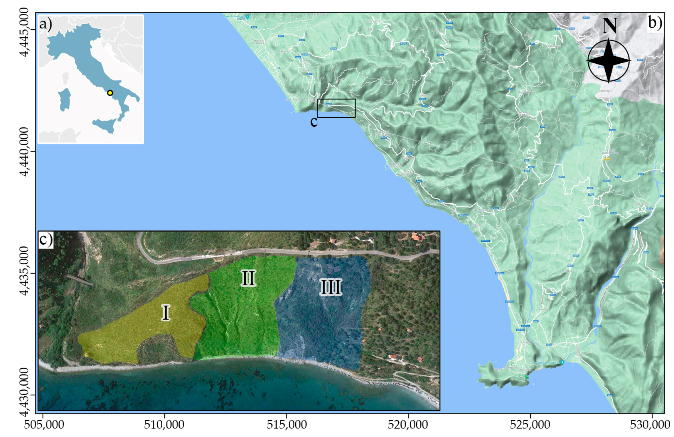 Remotesensing 13 04782 g001