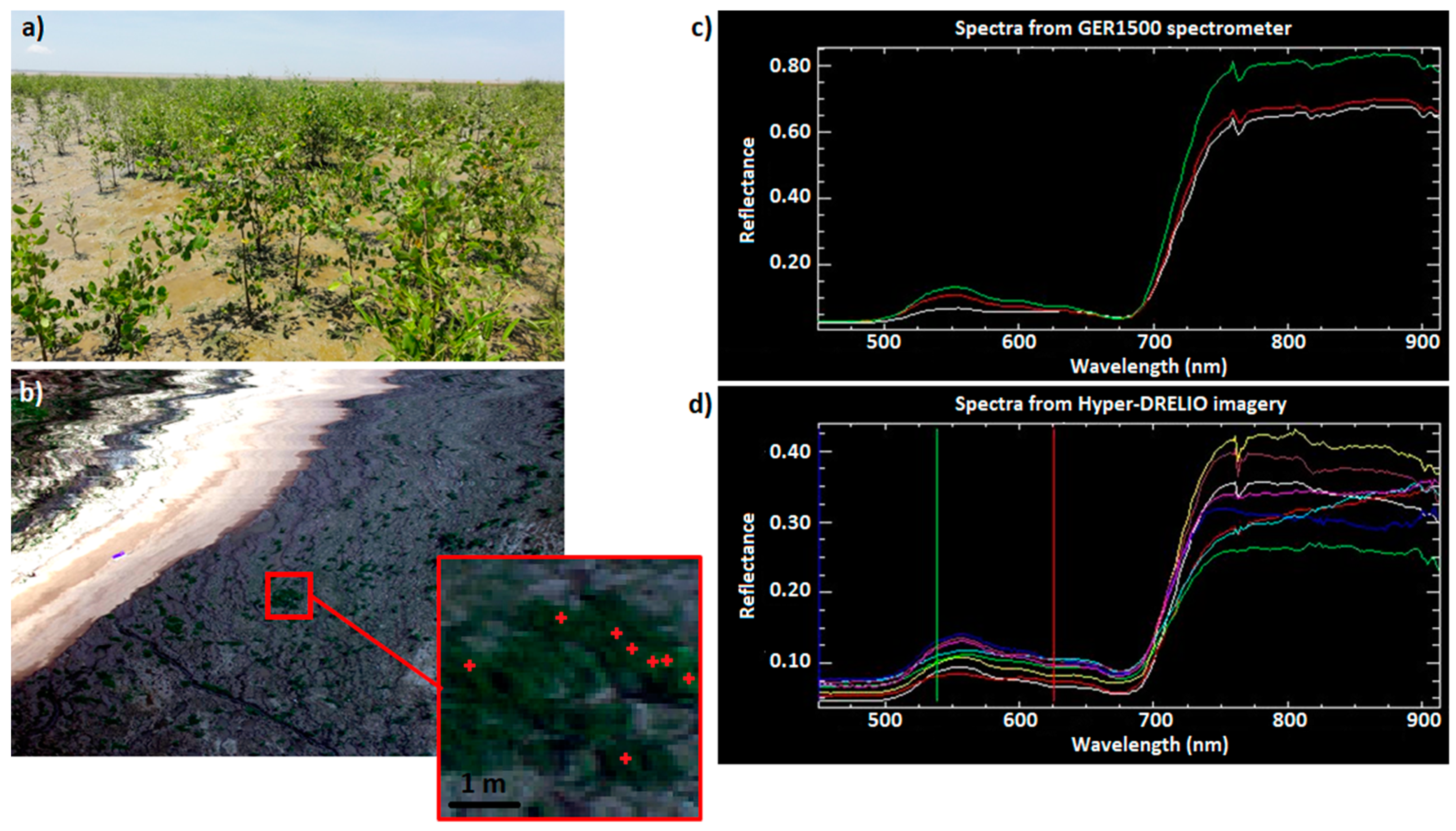 Remotesensing 13 04792 g007