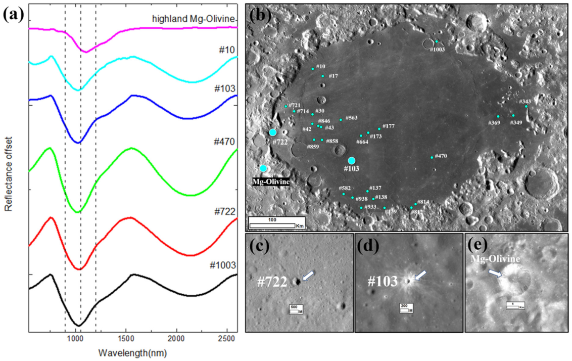 Remotesensing 13 04828 g011