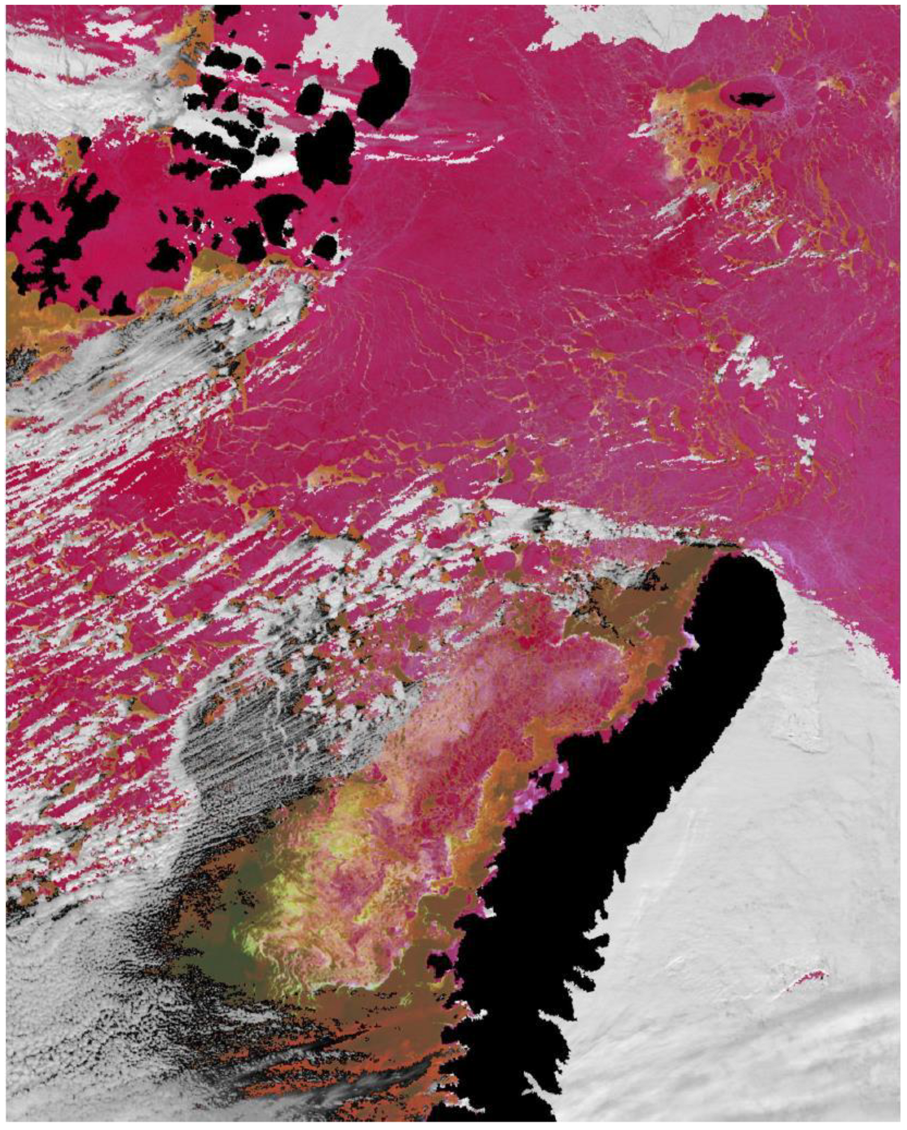 Remotesensing 13 04842 g002