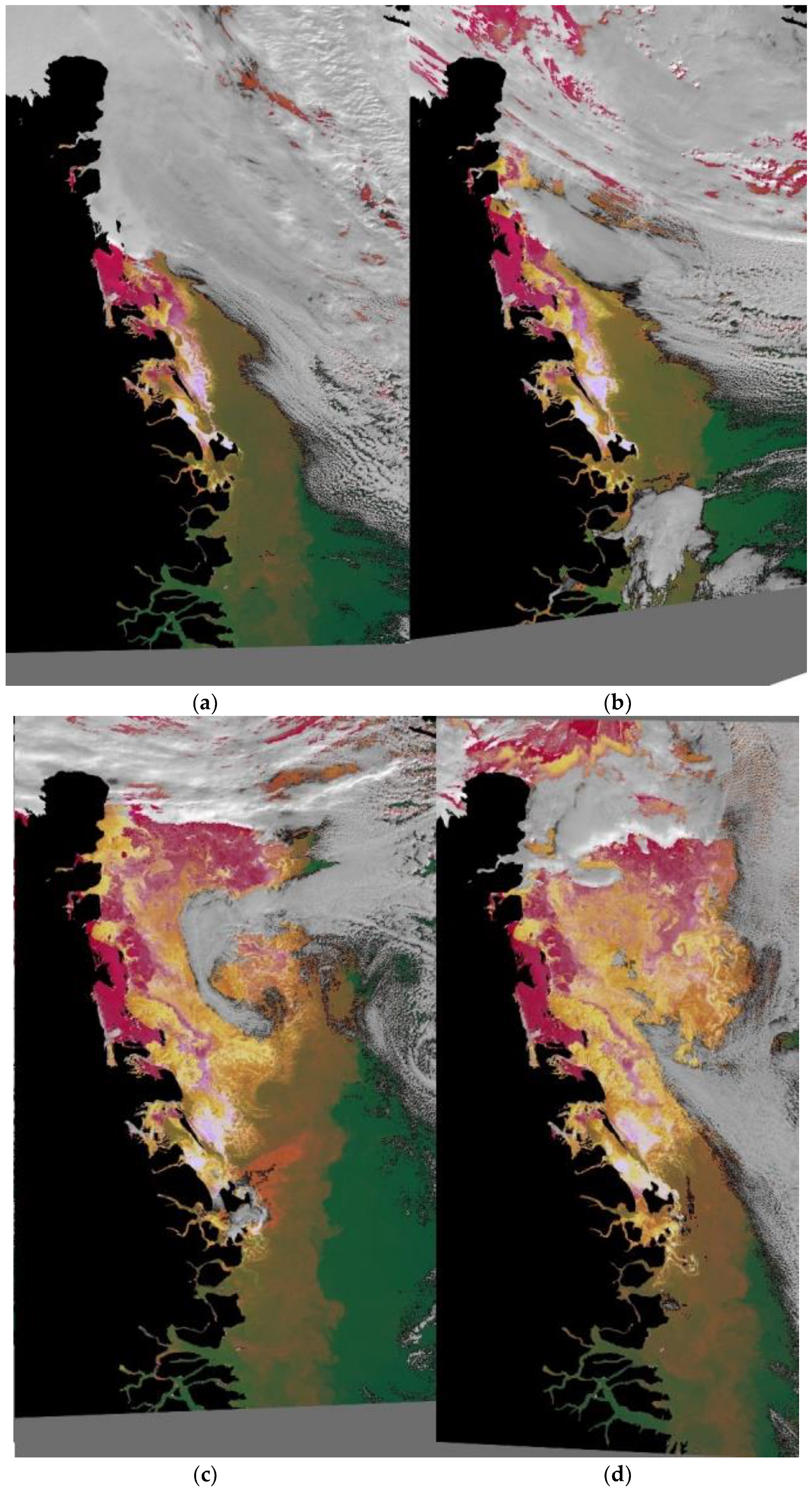 Remotesensing 13 04842 g006