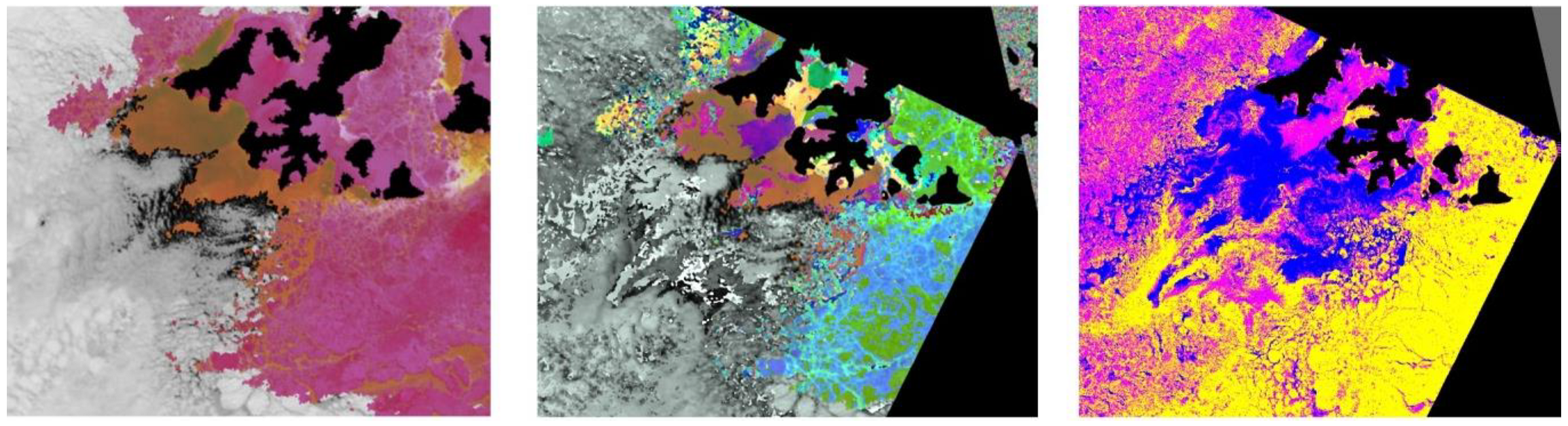 Remotesensing 13 04842 g007