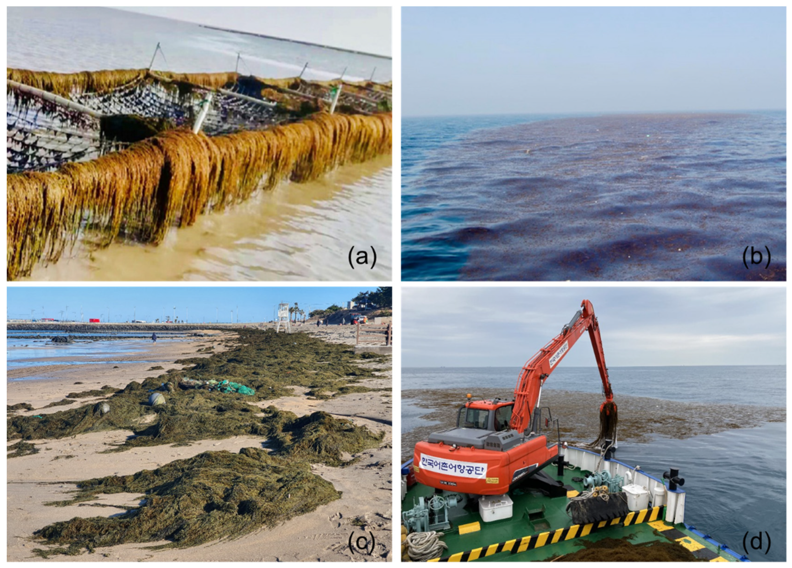 Remotesensing 13 04844 g001