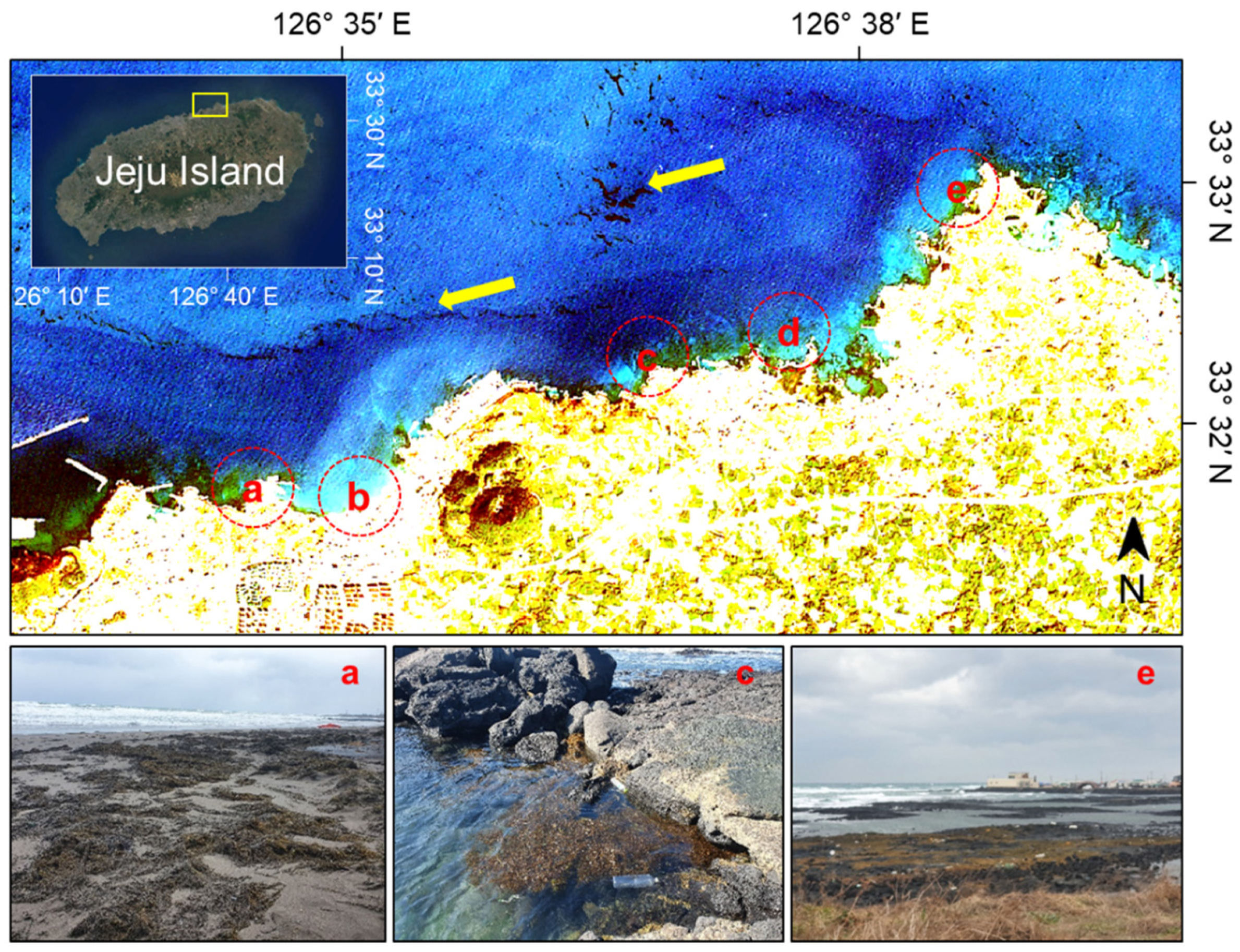 Remotesensing 13 04844 g003