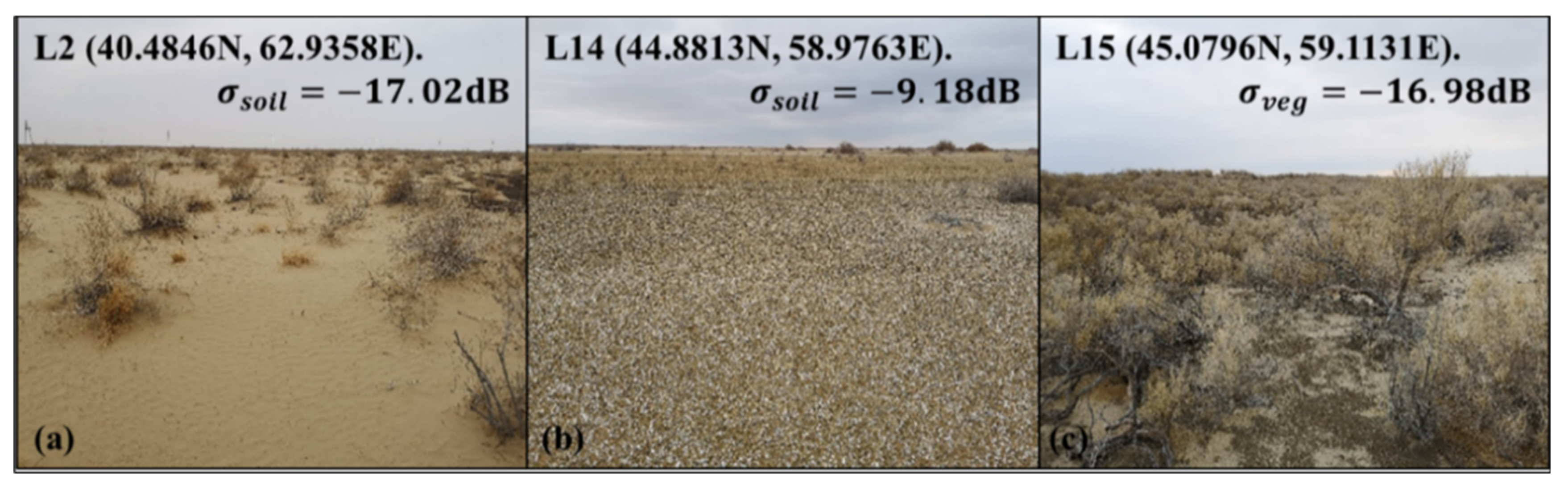 Remotesensing 13 04850 g011