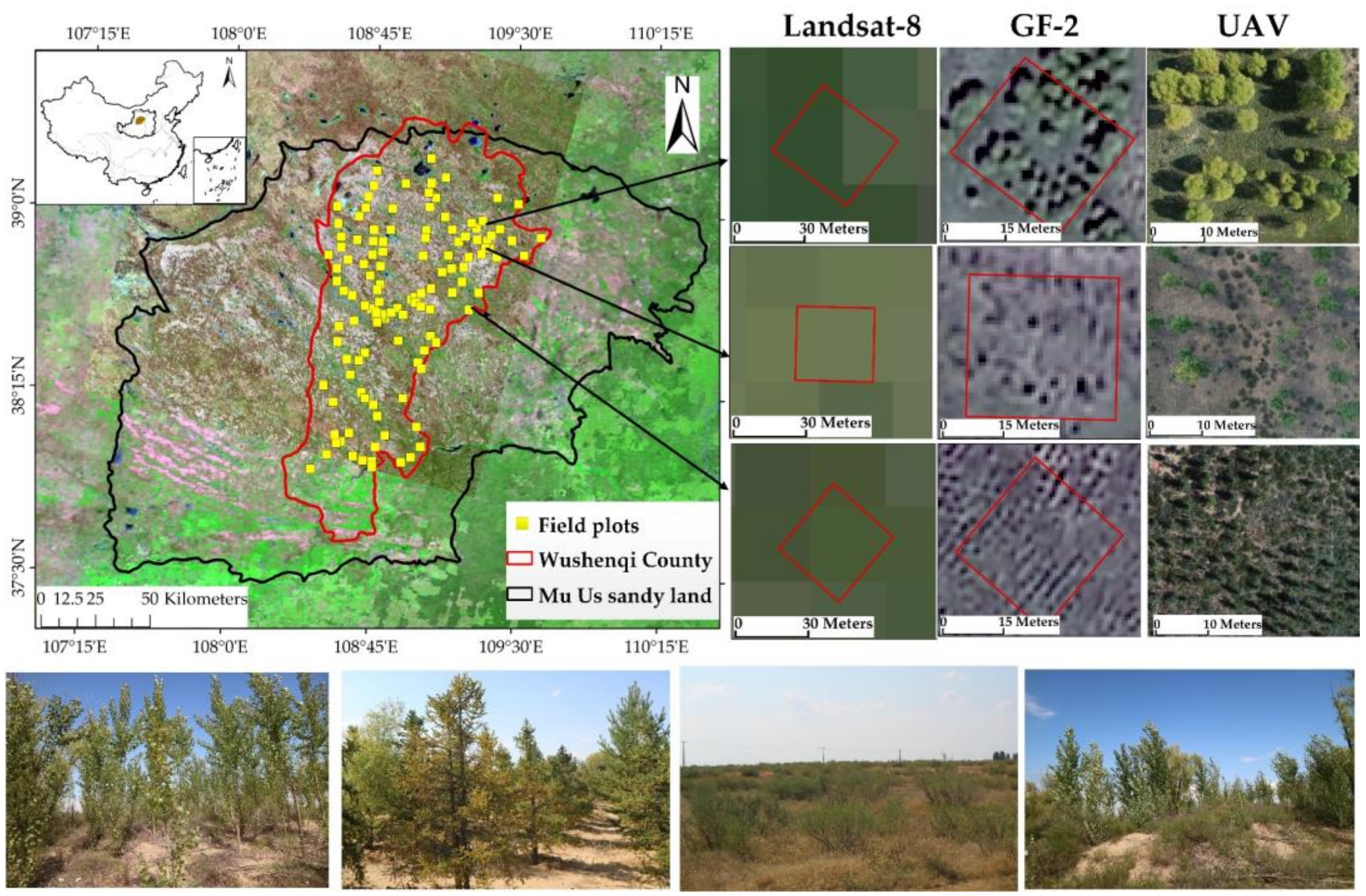 Remotesensing 13 04859 g001