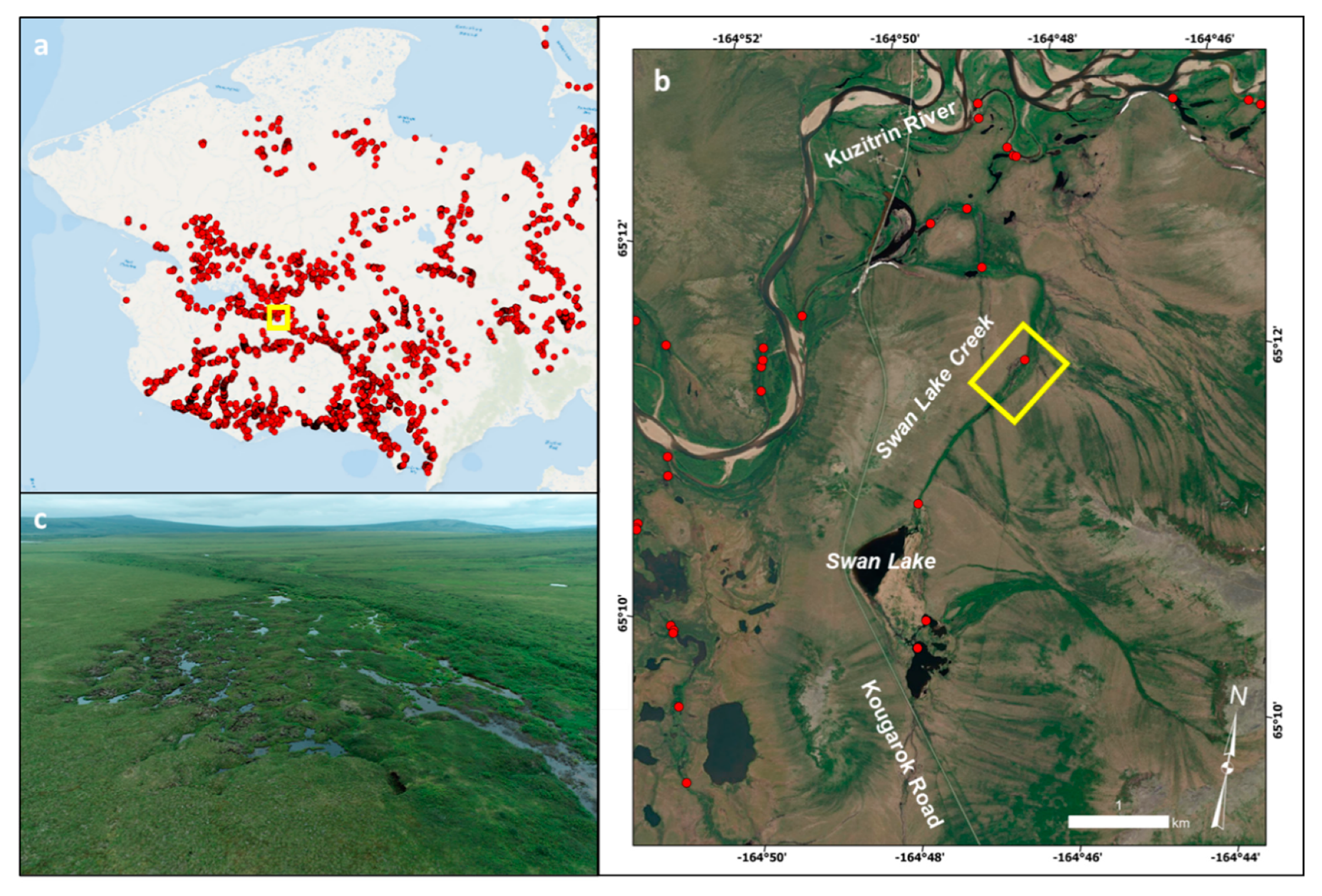Remotesensing 13 04863 g001