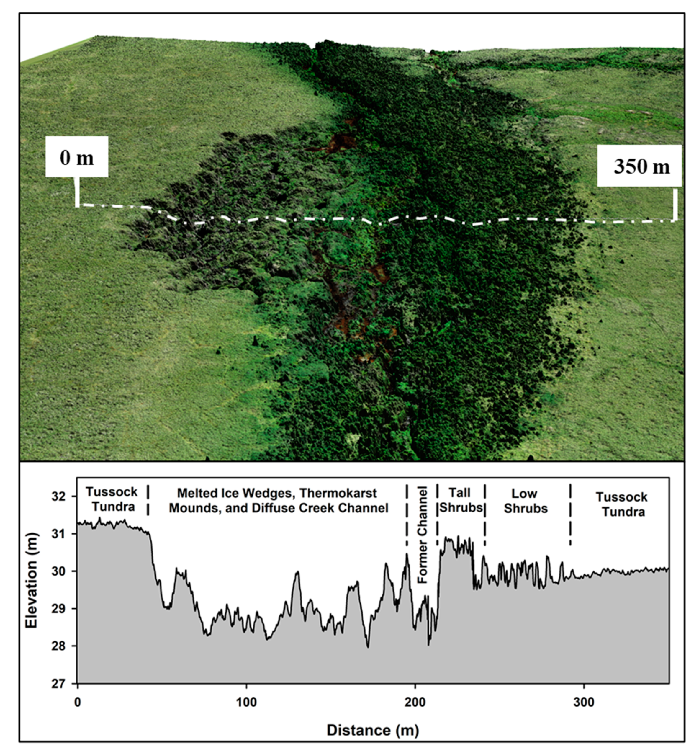 Remotesensing 13 04863 g011