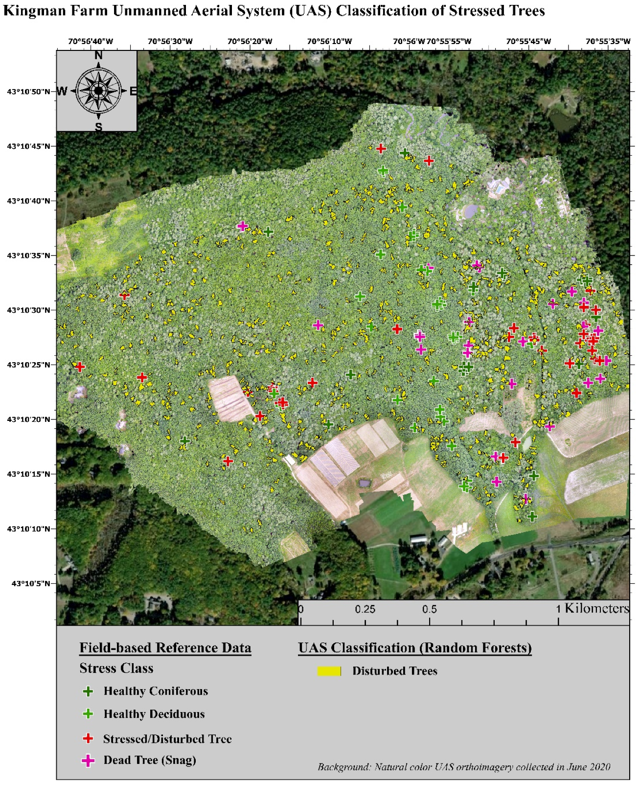 Remotesensing 13 04873 g004