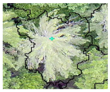 Remotesensing 13 04873 i005 Remotesensing 13 04873 i005