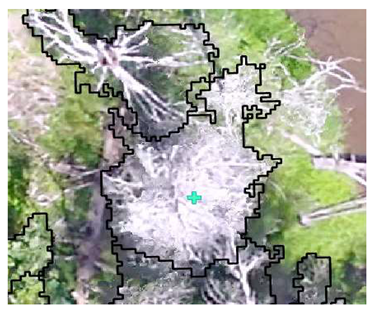 Remotesensing 13 04873 i006 Remotesensing 13 04873 i006