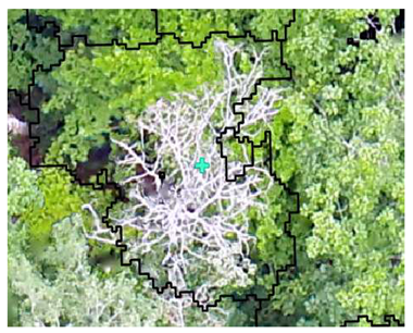 Remotesensing 13 04873 i009 Remotesensing 13 04873 i009