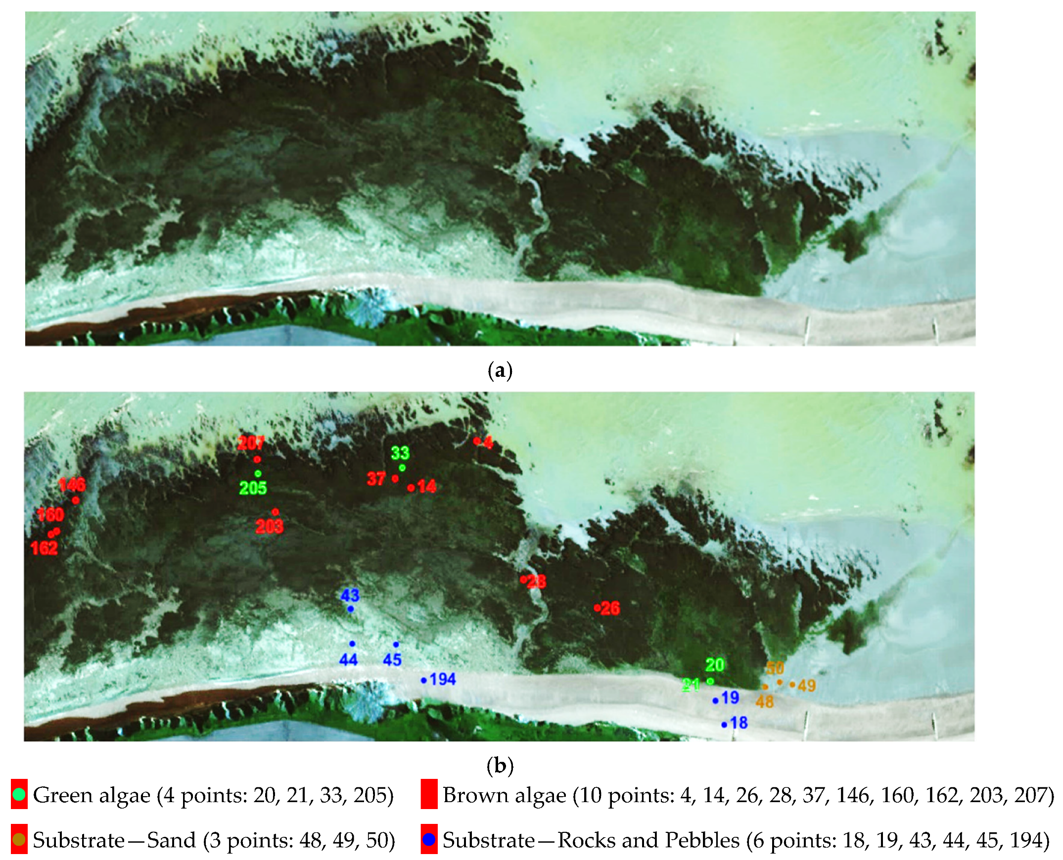 Remotesensing 13 04874 g006
