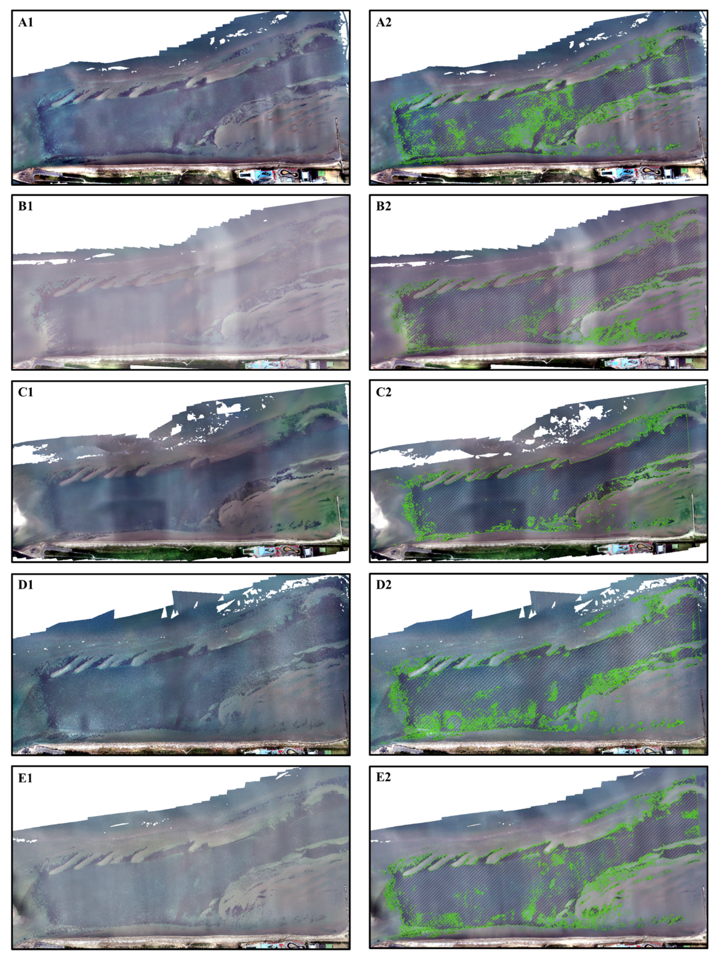 Remotesensing 13 04880 g008