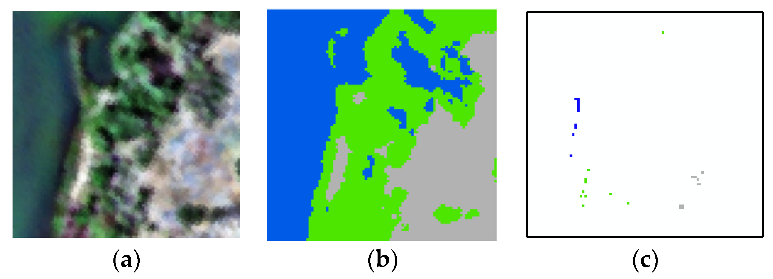 Remotesensing 13 04896 g001