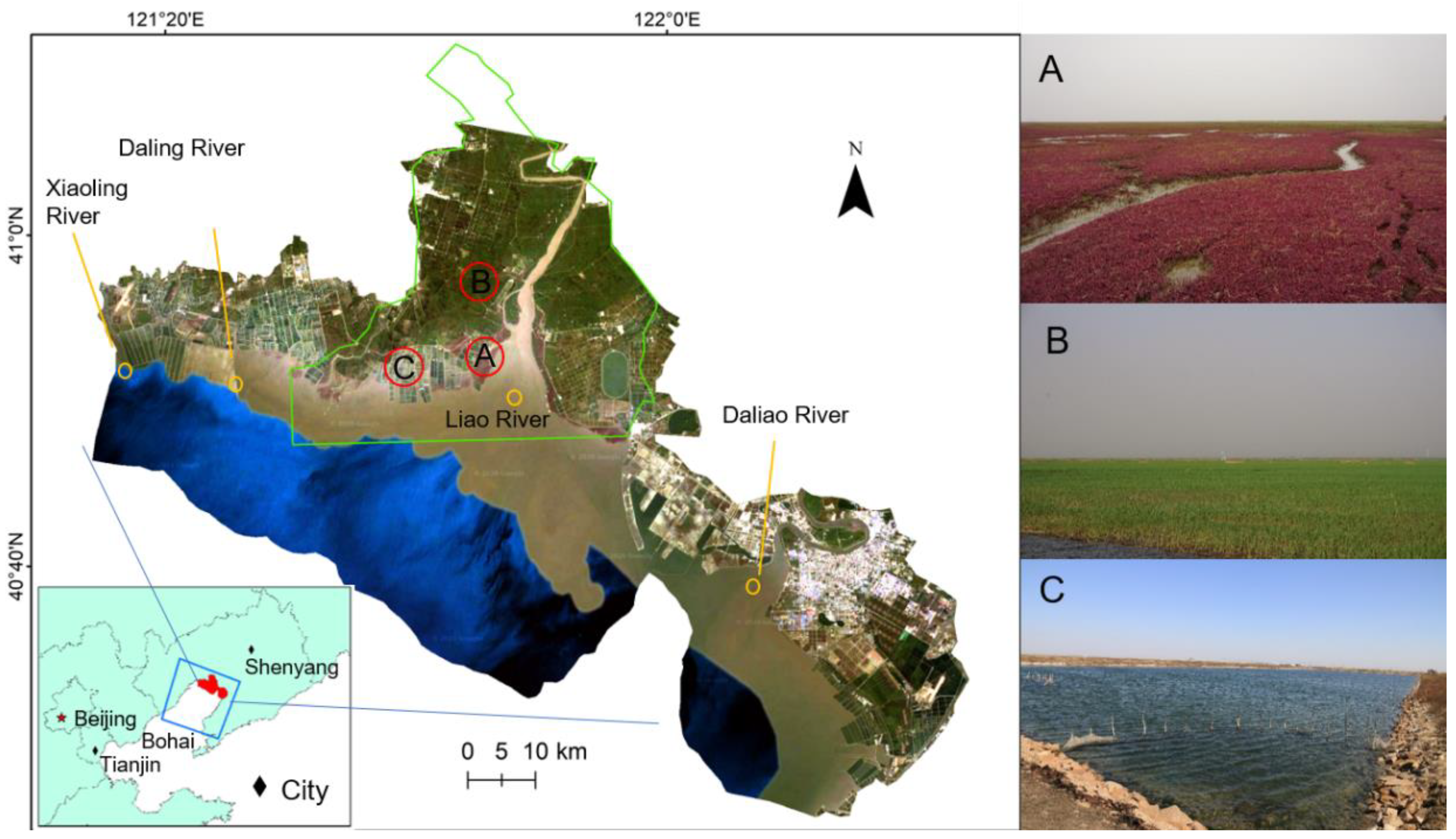 Remotesensing 13 04900 g001
