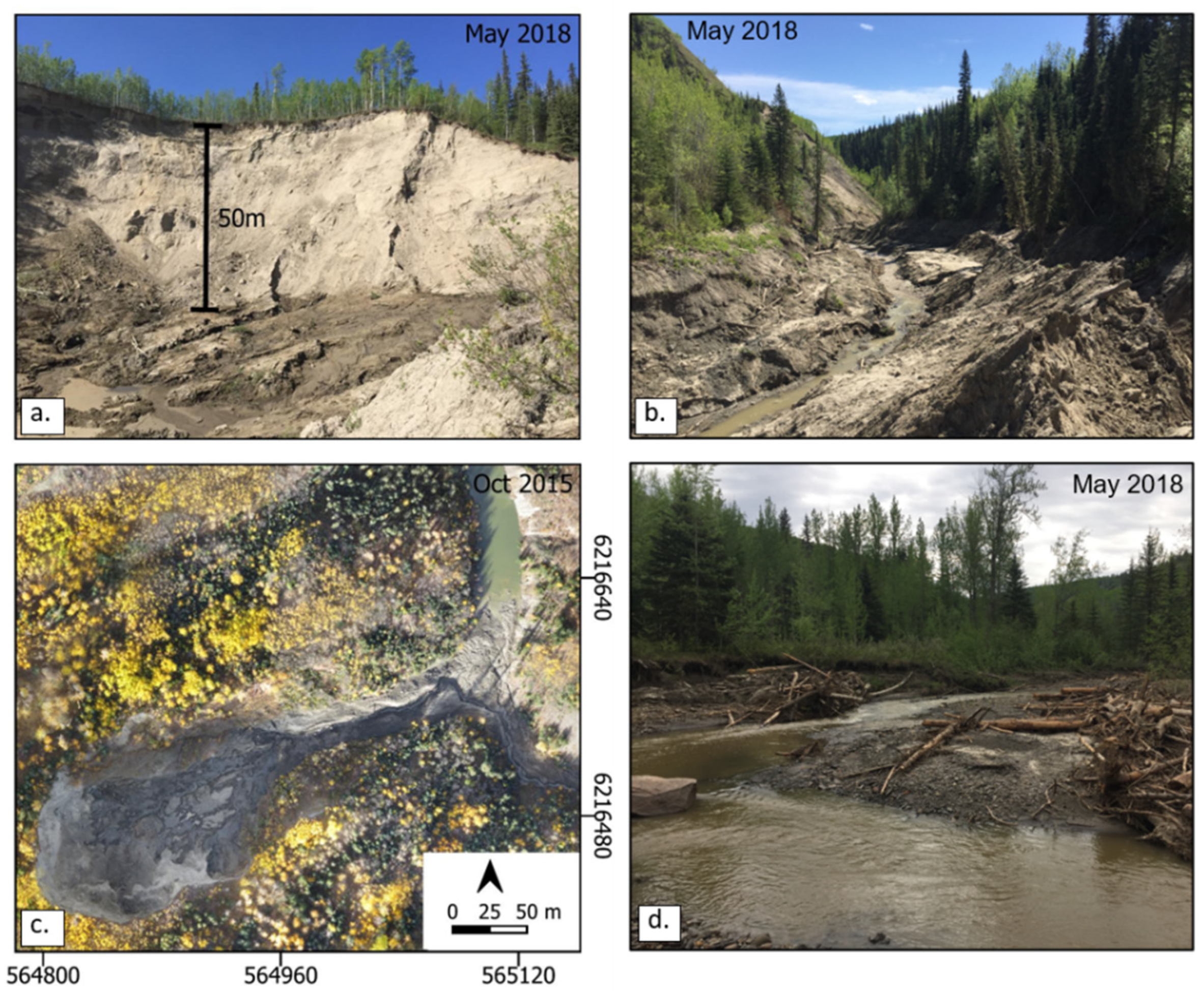 Remotesensing 13 04901 g002