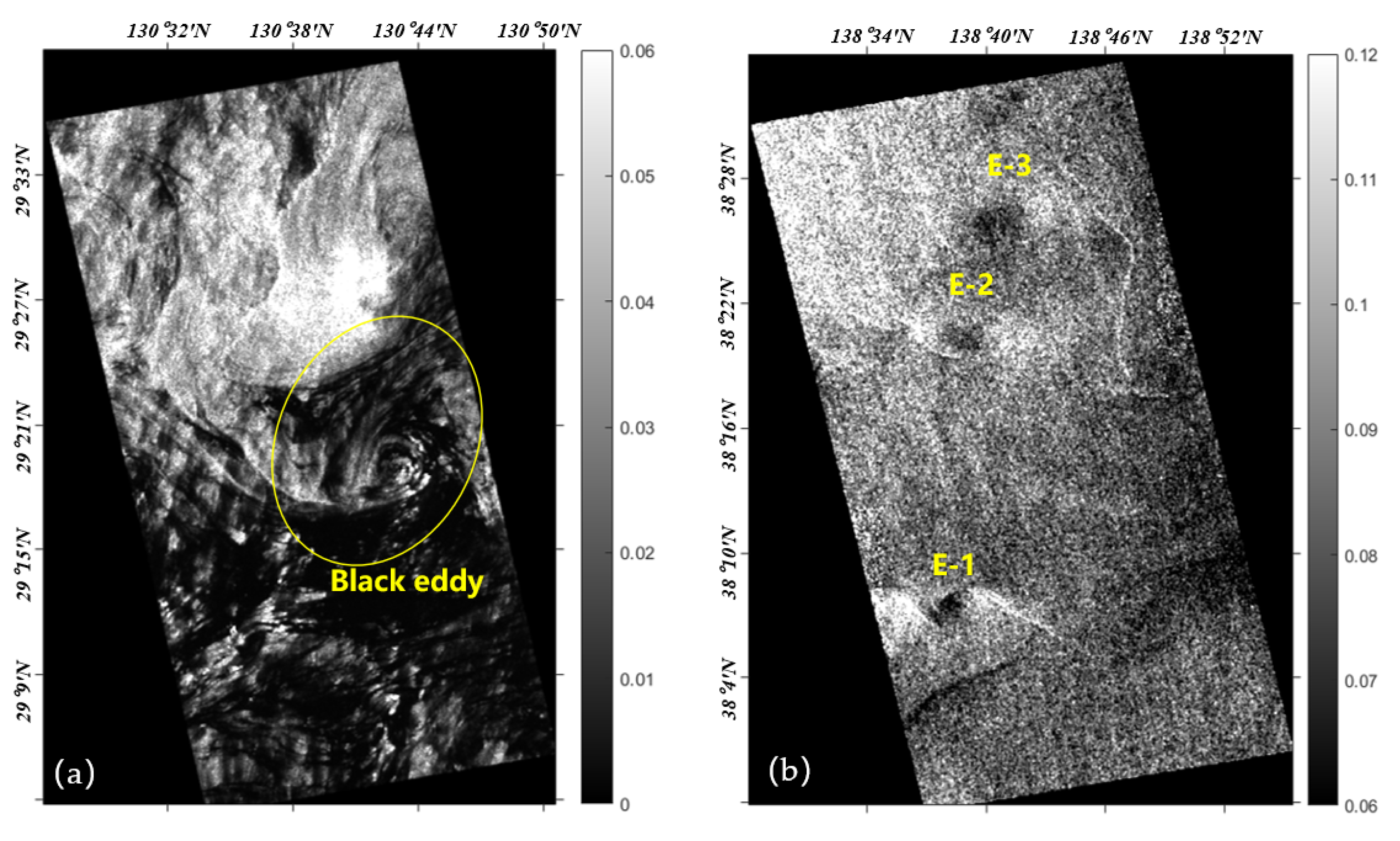 Remotesensing 13 04905 g001 Remotesensing 13 04905 g001