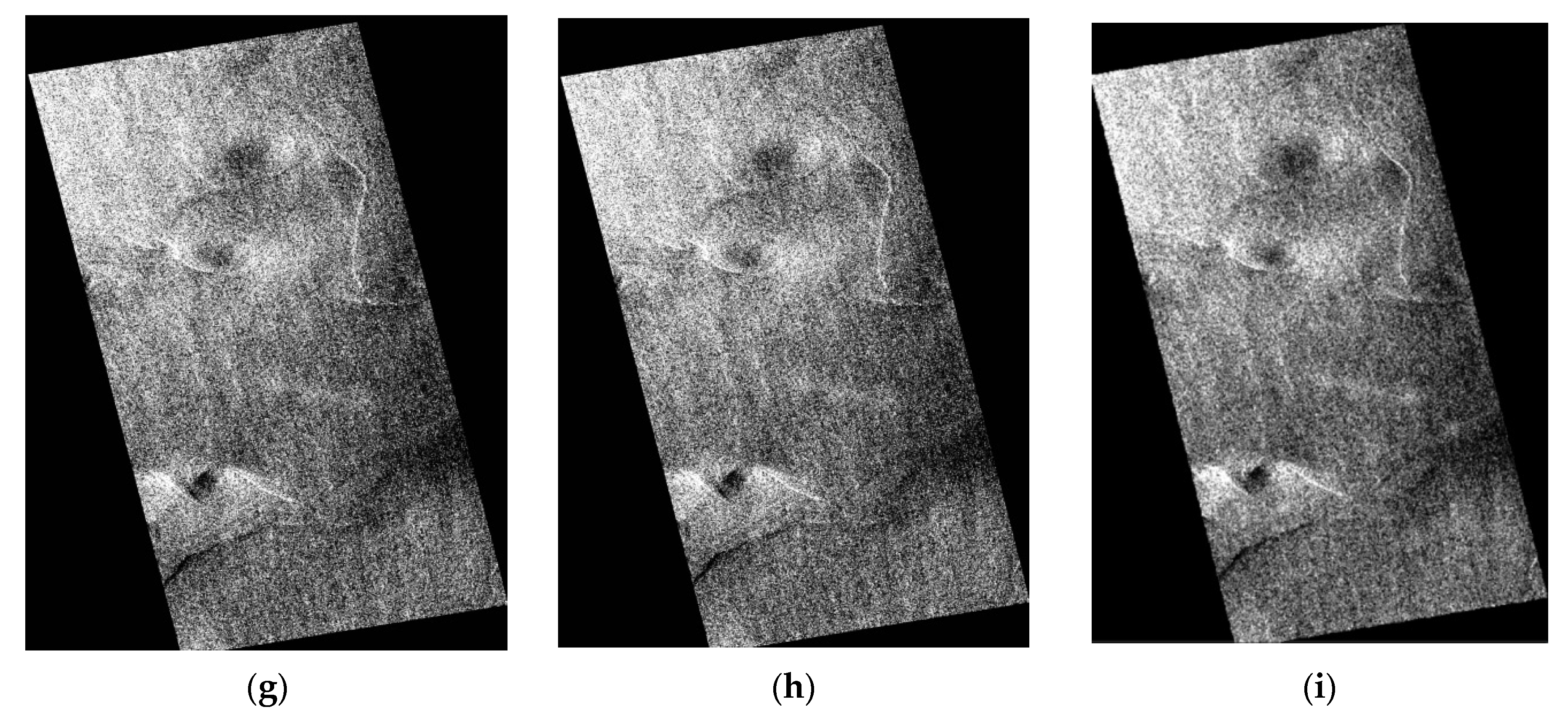 Remotesensing 13 04905 g006b Remotesensing 13 04905 g006b