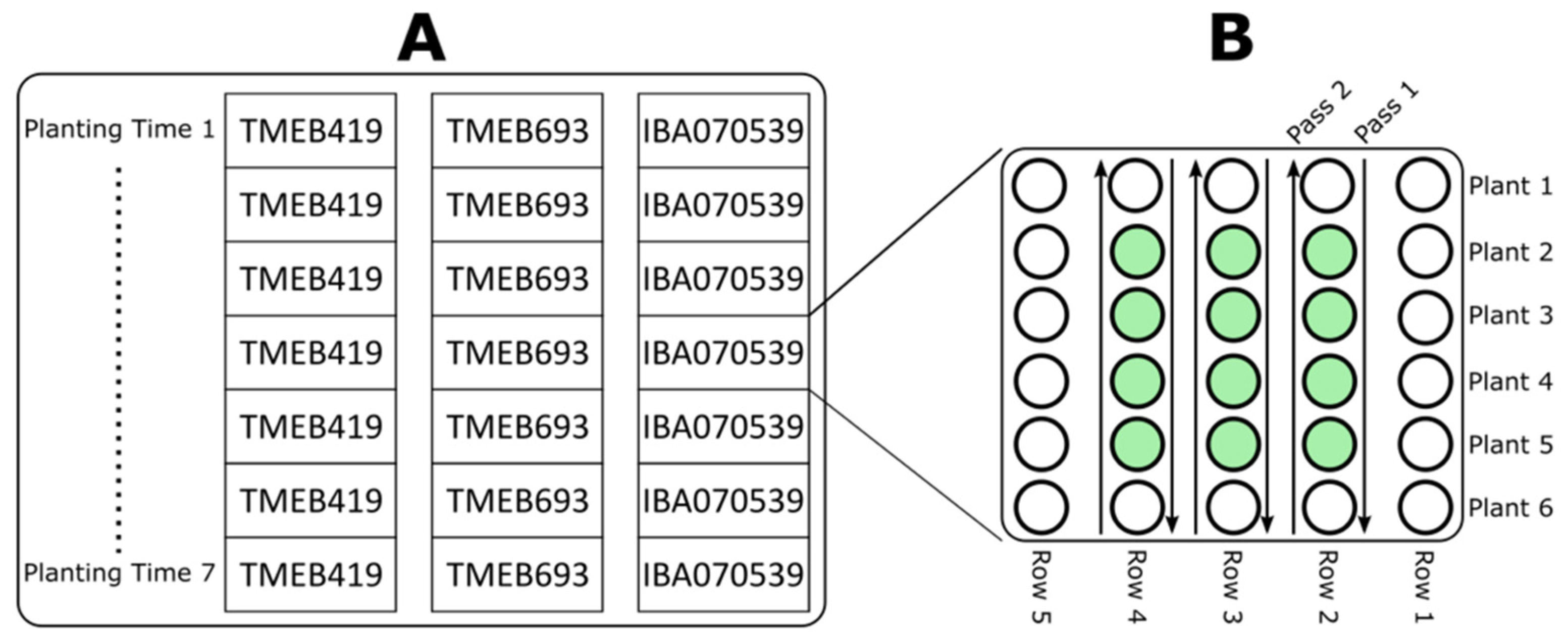 Remotesensing 13 04908 g002