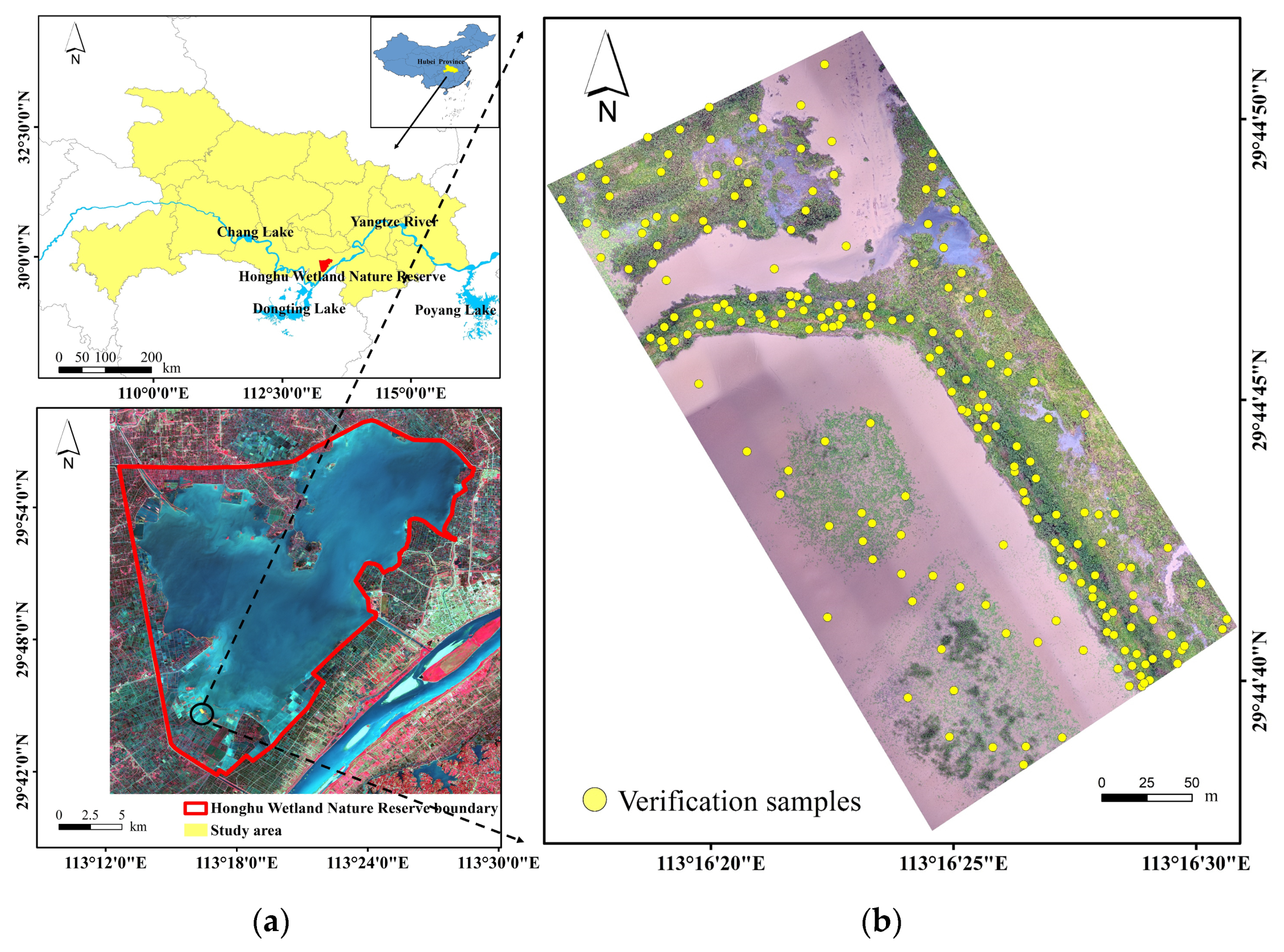 Remotesensing 13 04910 g001
