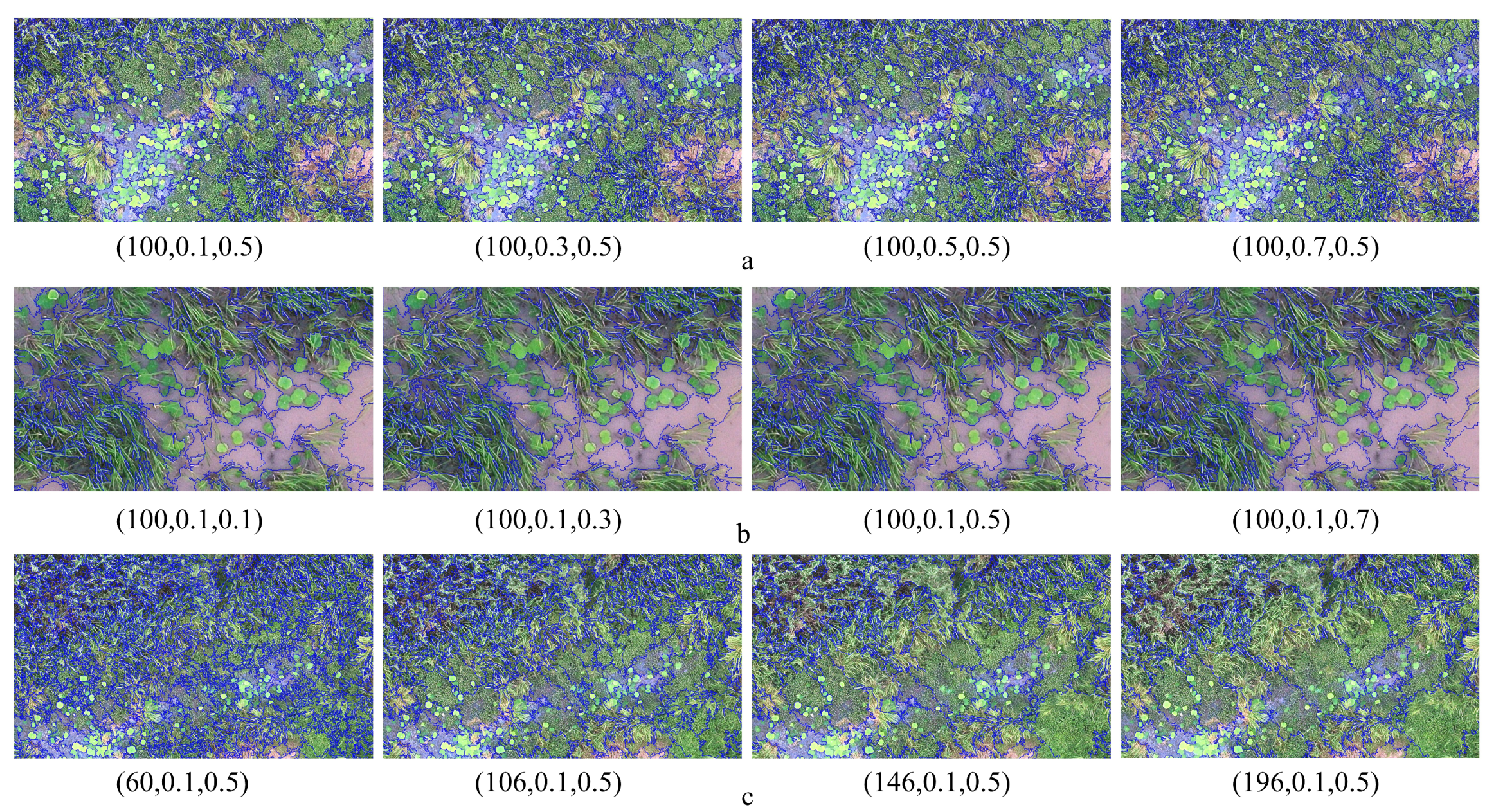 Remotesensing 13 04910 g003