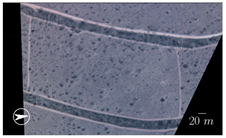 Remotesensing 13 04913 i004 Remotesensing 13 04913 i004