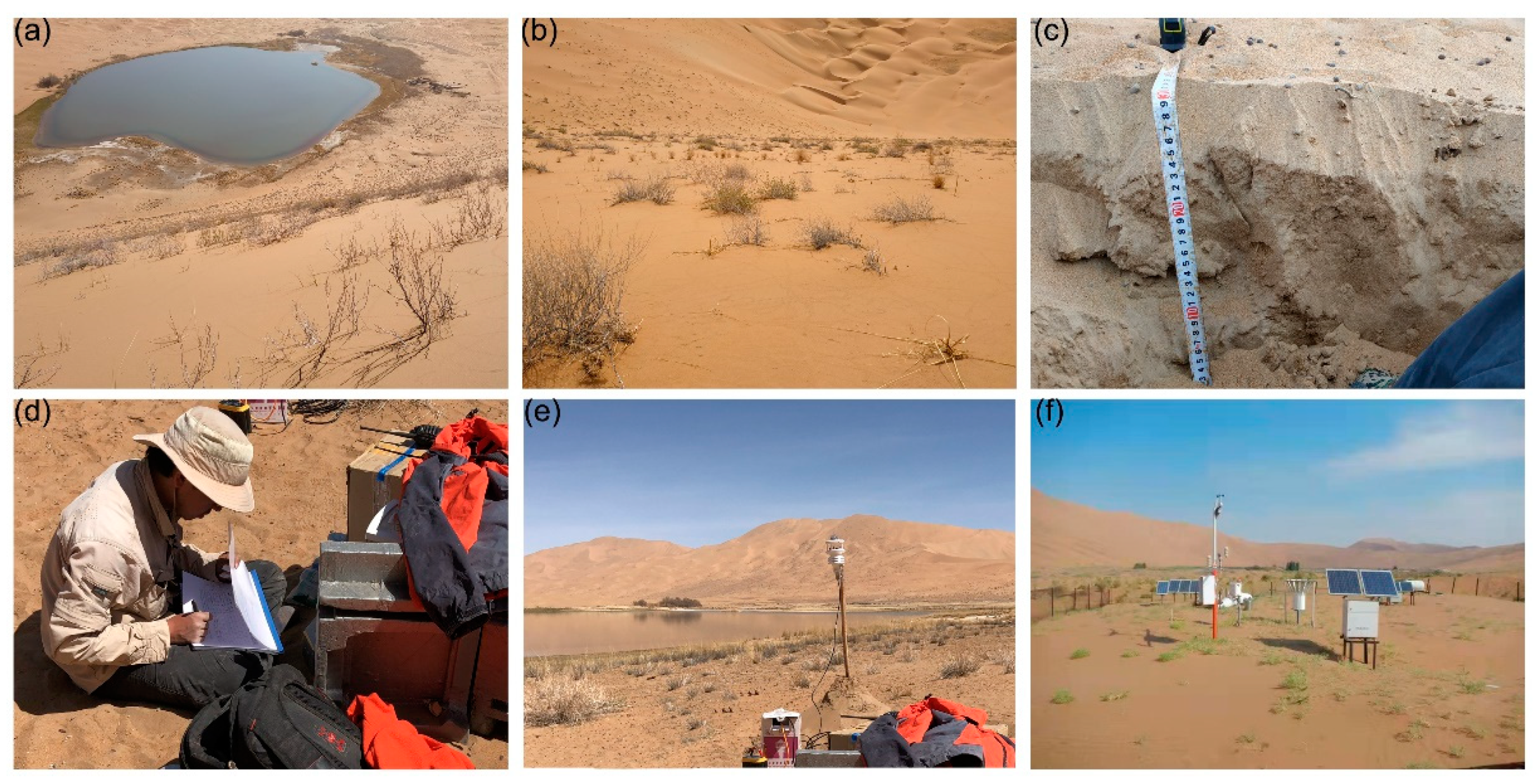 Remotesensing 13 04915 g003