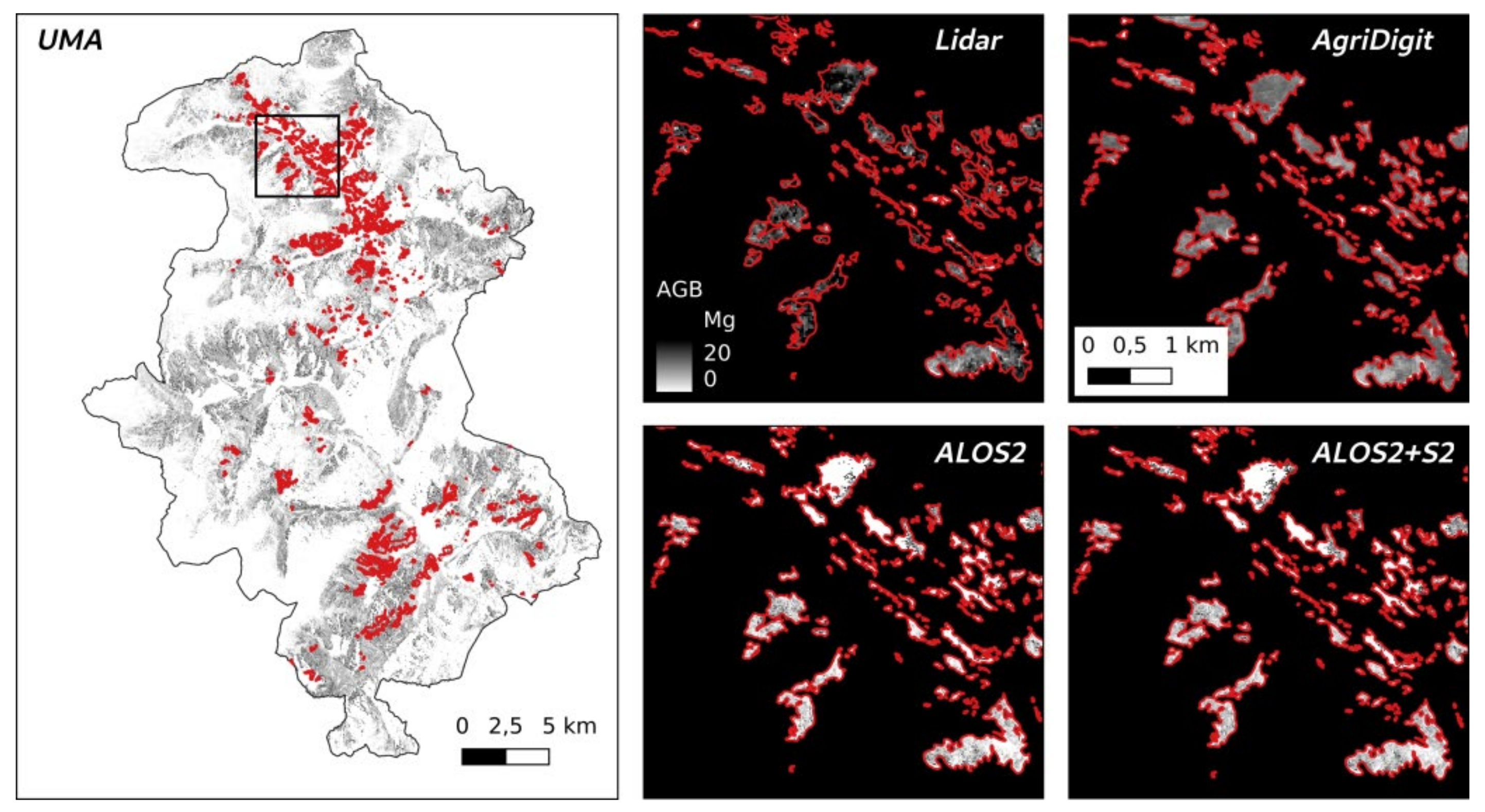 Remotesensing 13 04924 g009