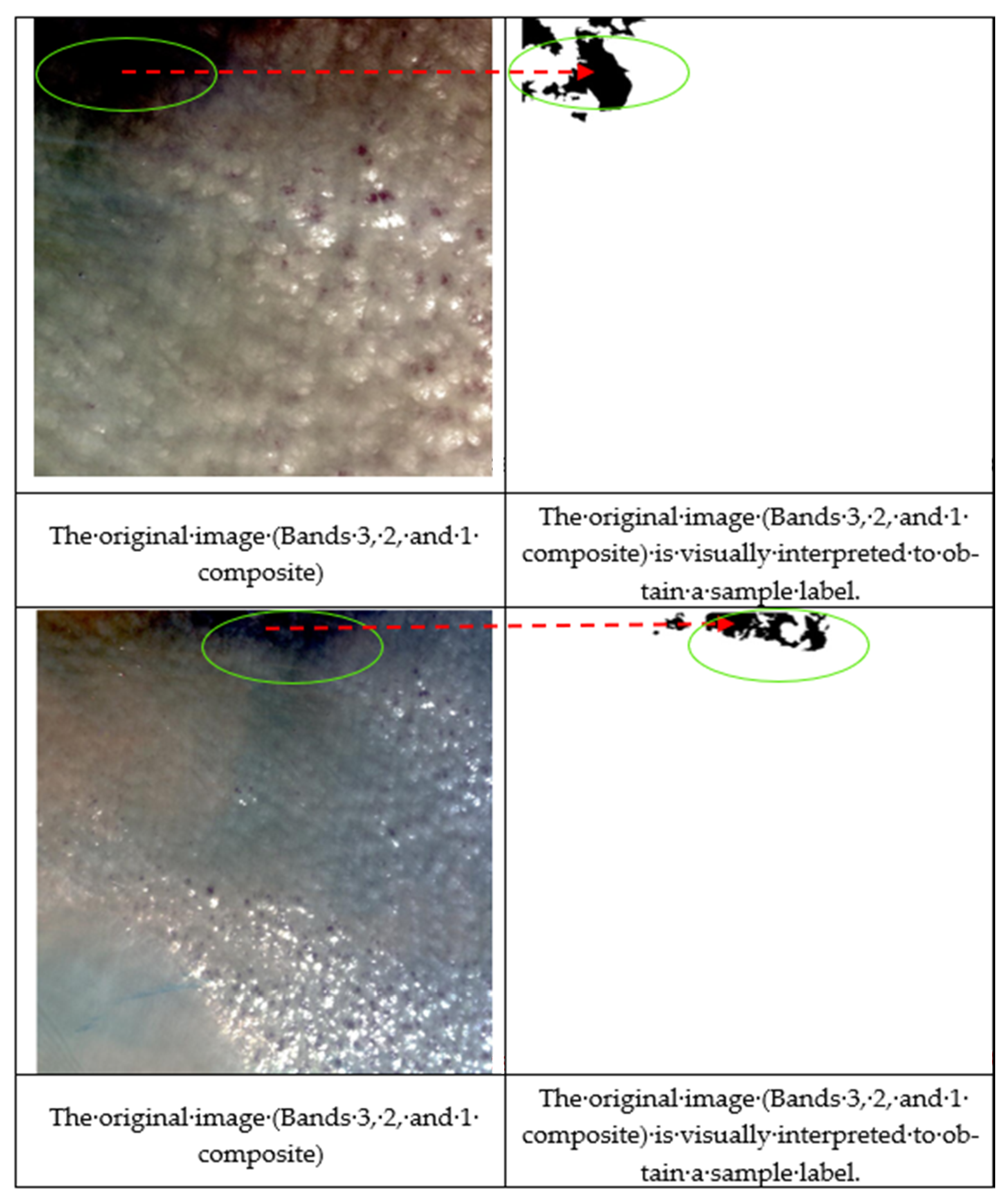 Remotesensing 13 04936 g003