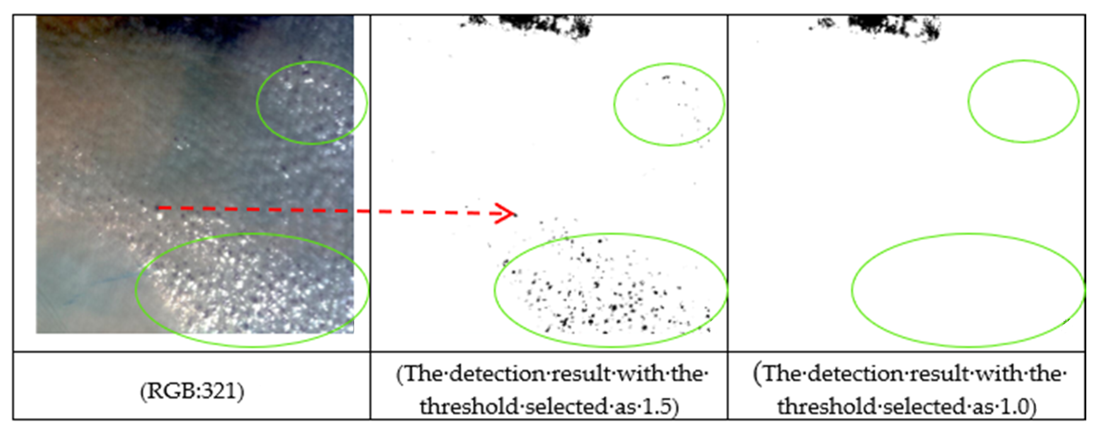 Remotesensing 13 04936 g005