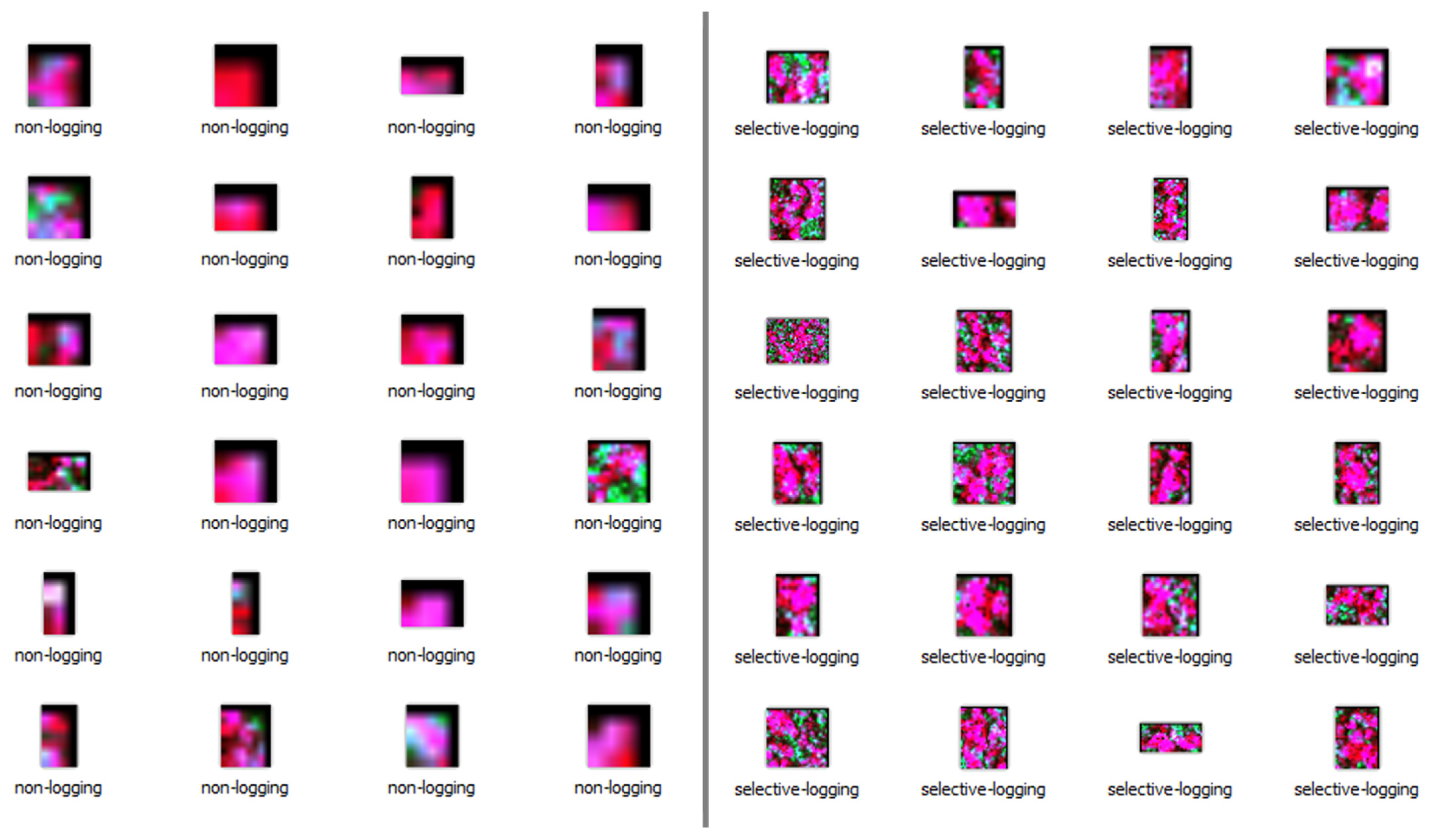 Remotesensing 13 04944 g003