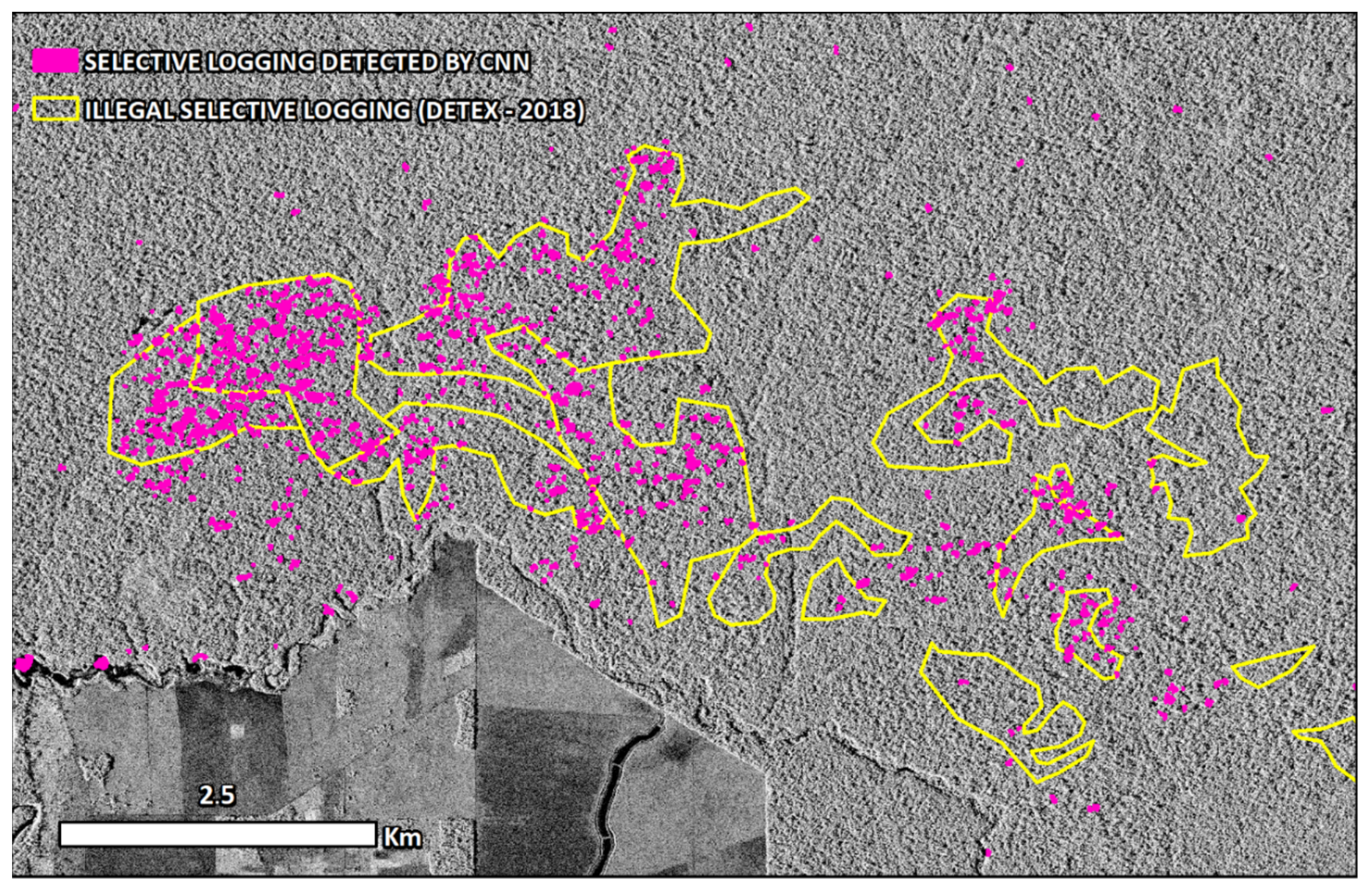 Remotesensing 13 04944 g006