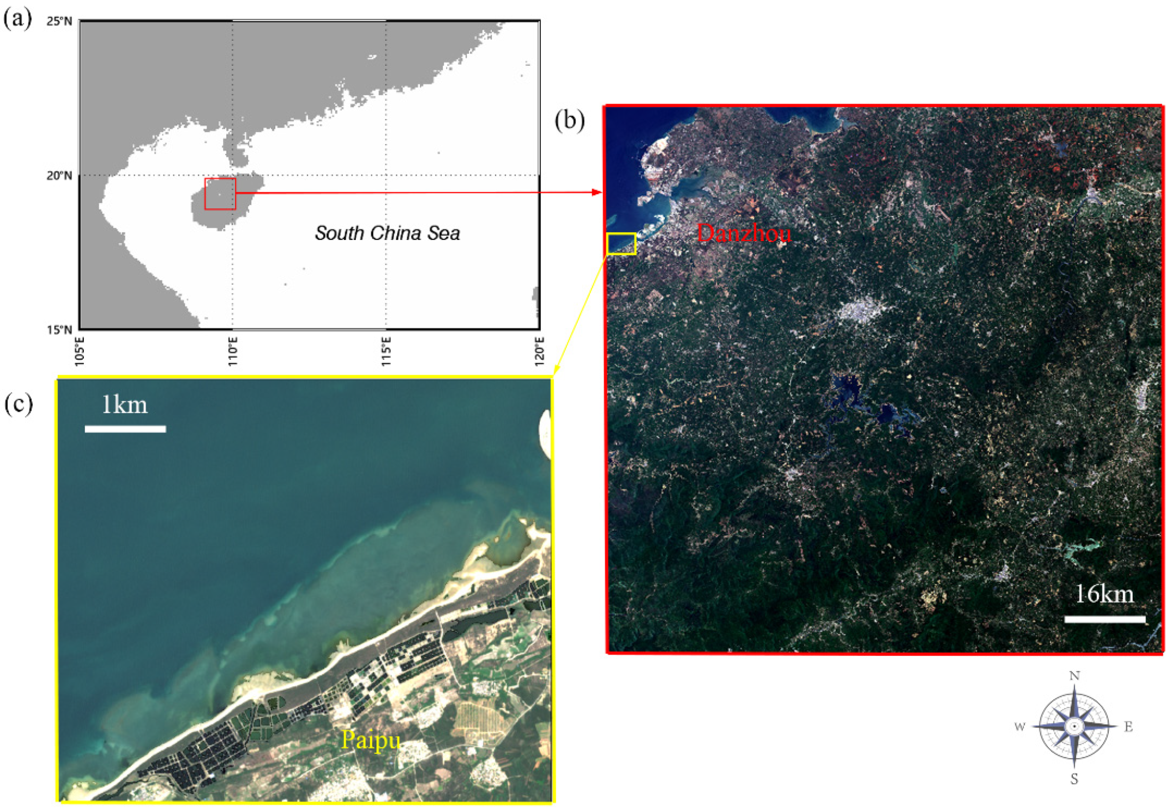 Remotesensing 13 04948 g001