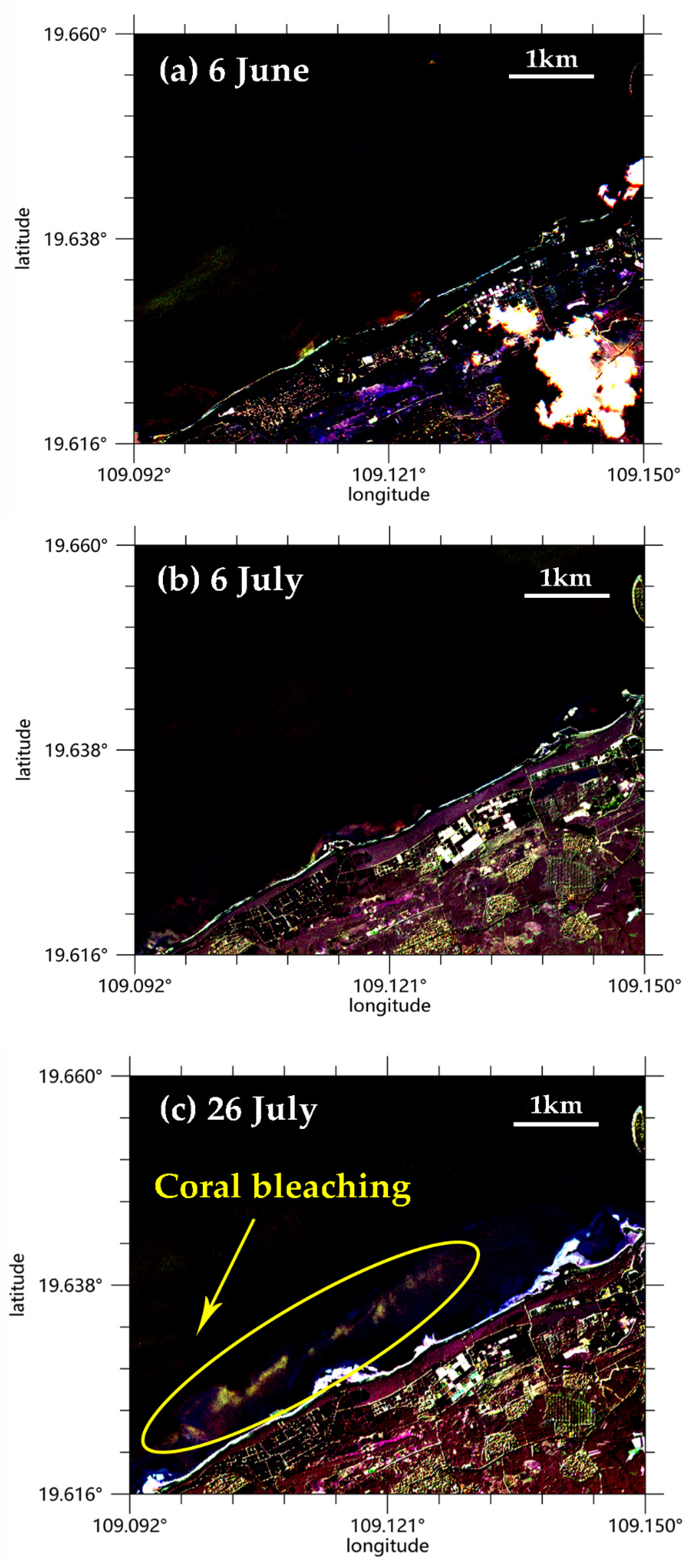 Remotesensing 13 04948 g009a