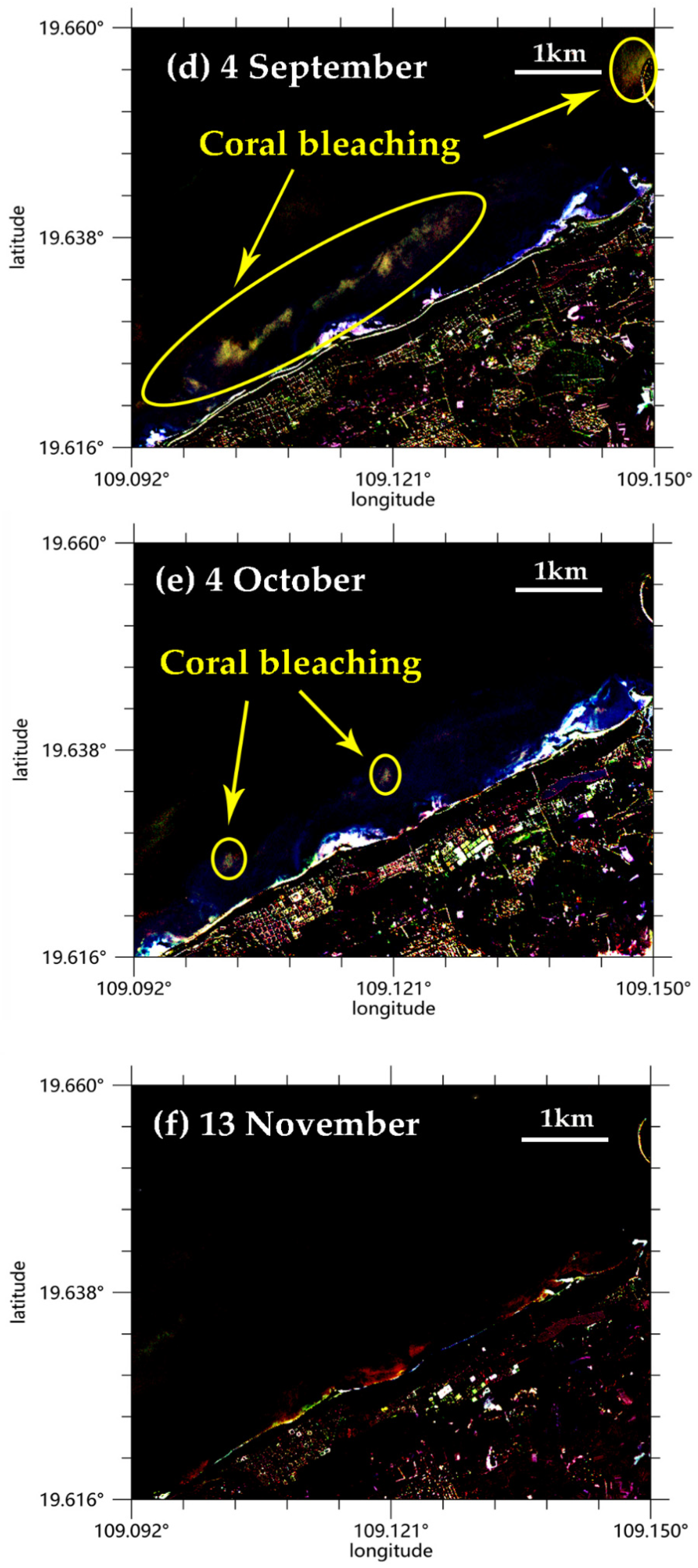 Remotesensing 13 04948 g009b