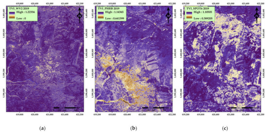 Remotesensing 13 04953 g0a11 550