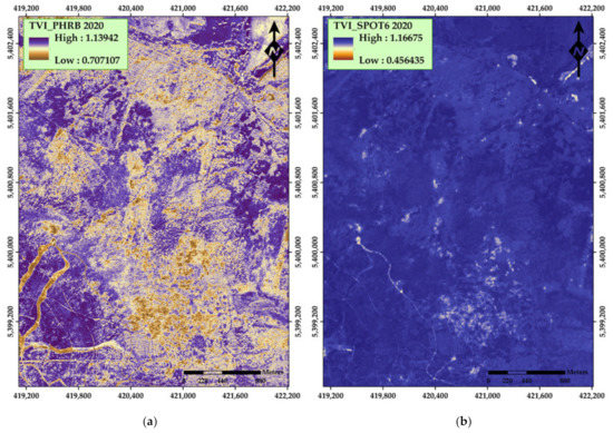 Remotesensing 13 04953 g0a12 550
