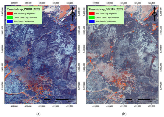 Remotesensing 13 04953 g0a22 550