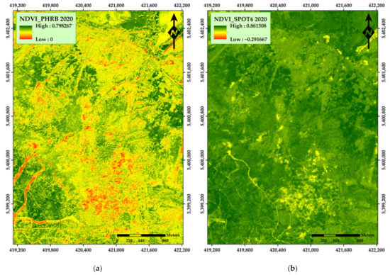 Remotesensing 13 04953 g0a6 550