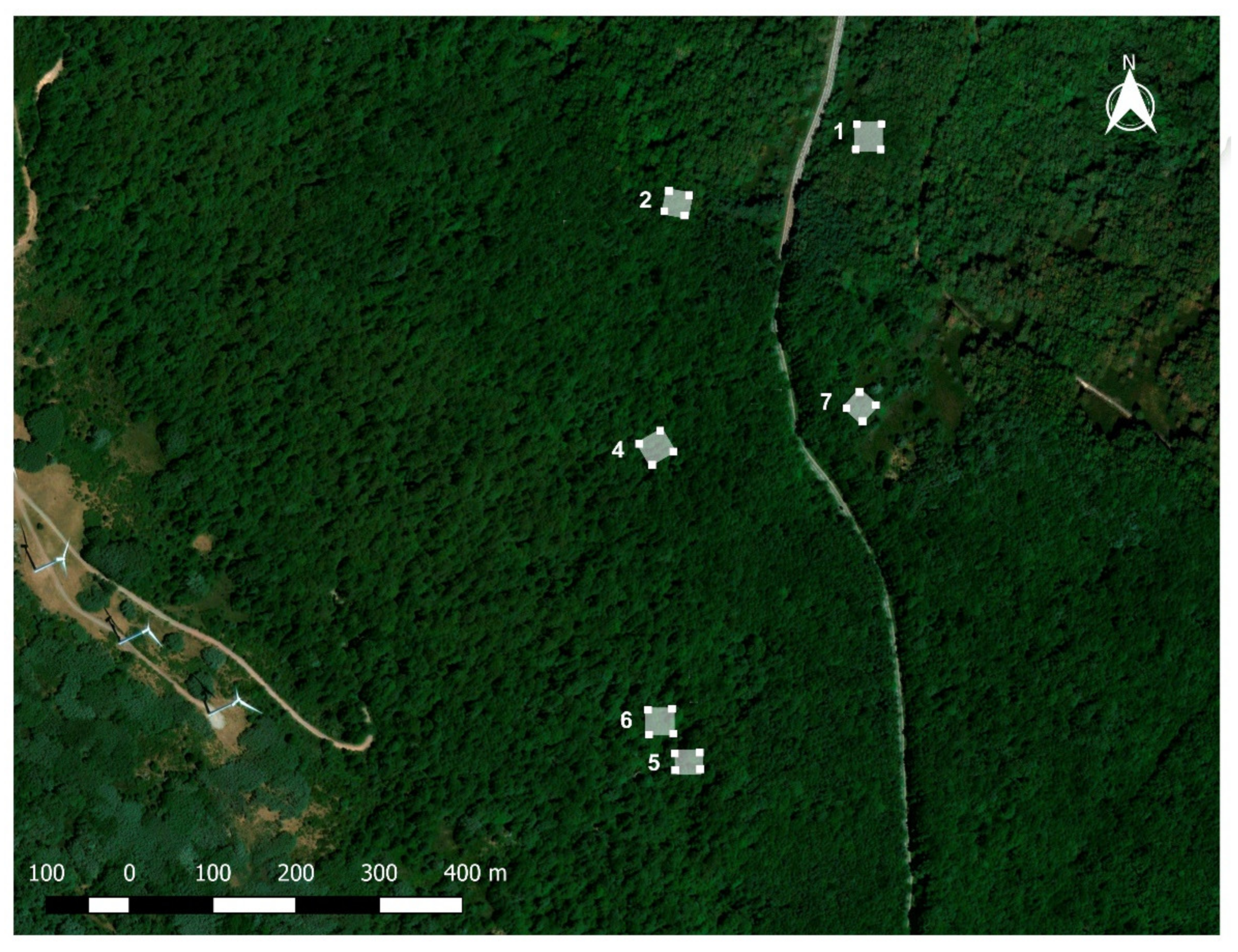 Remotesensing 13 04955 g001