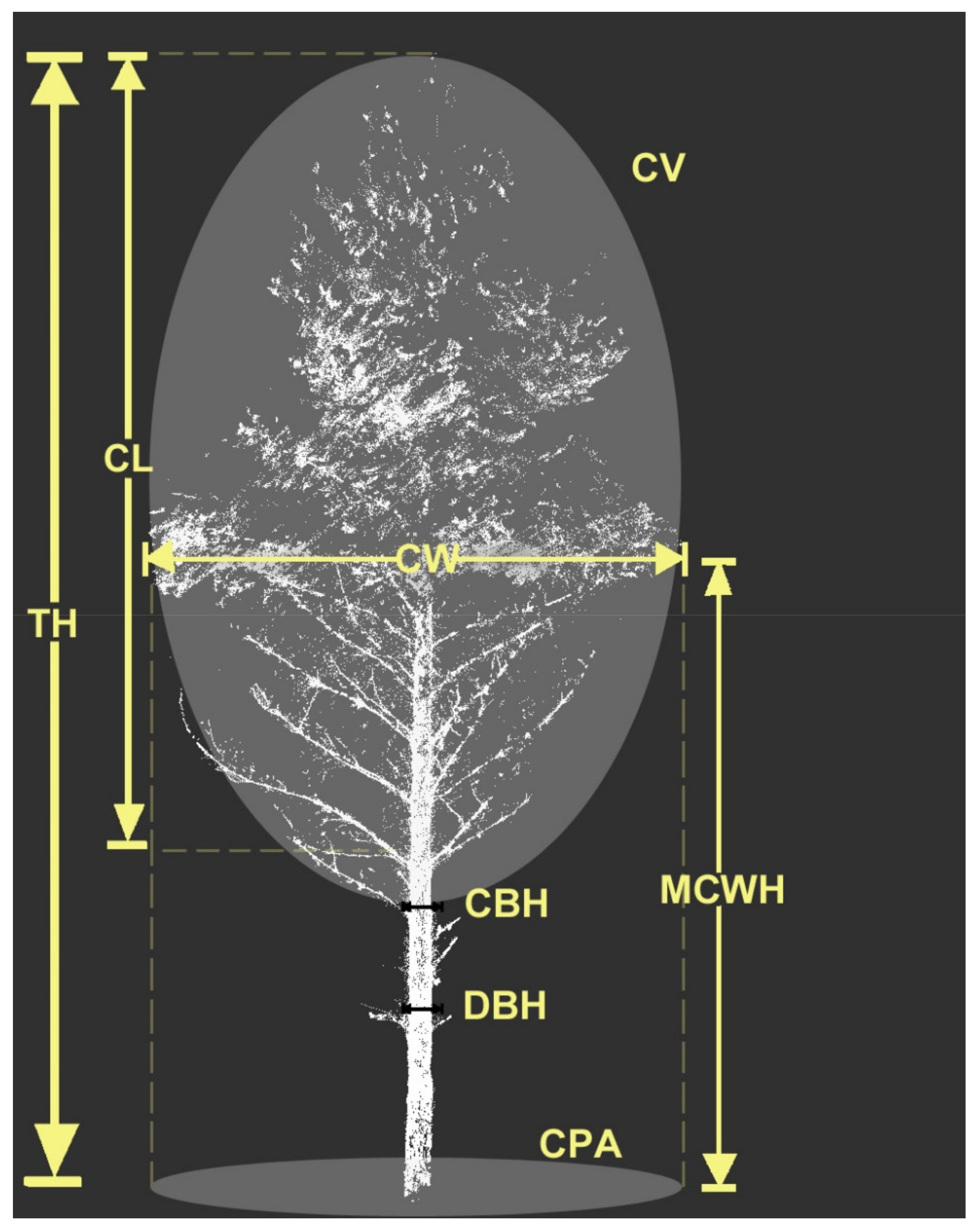 Remotesensing 13 04955 g003