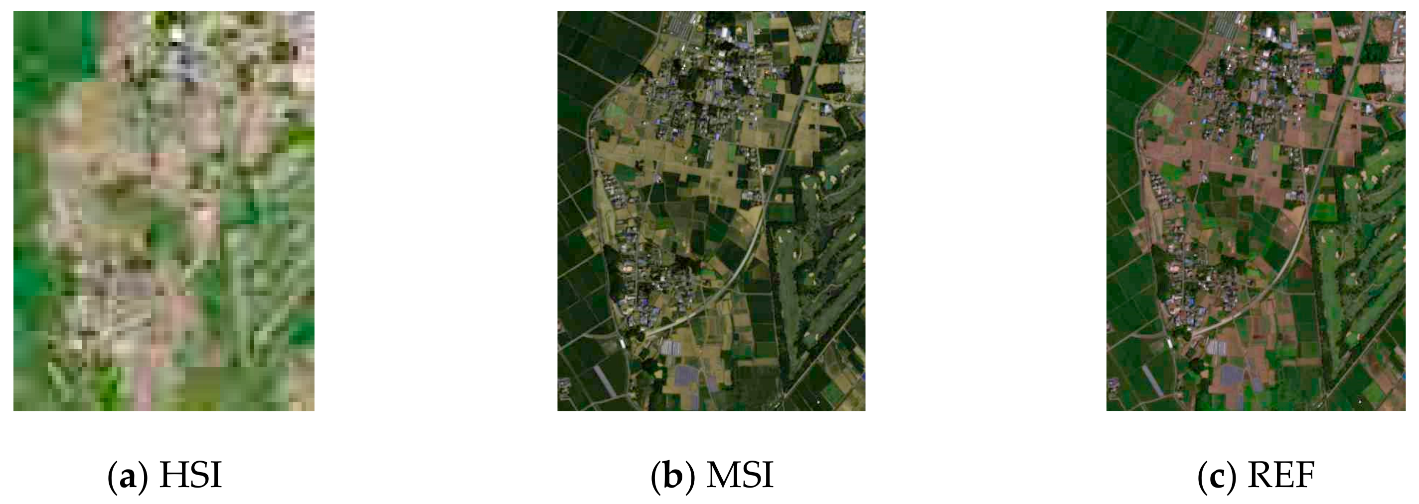 Remotesensing 13 04967 g005