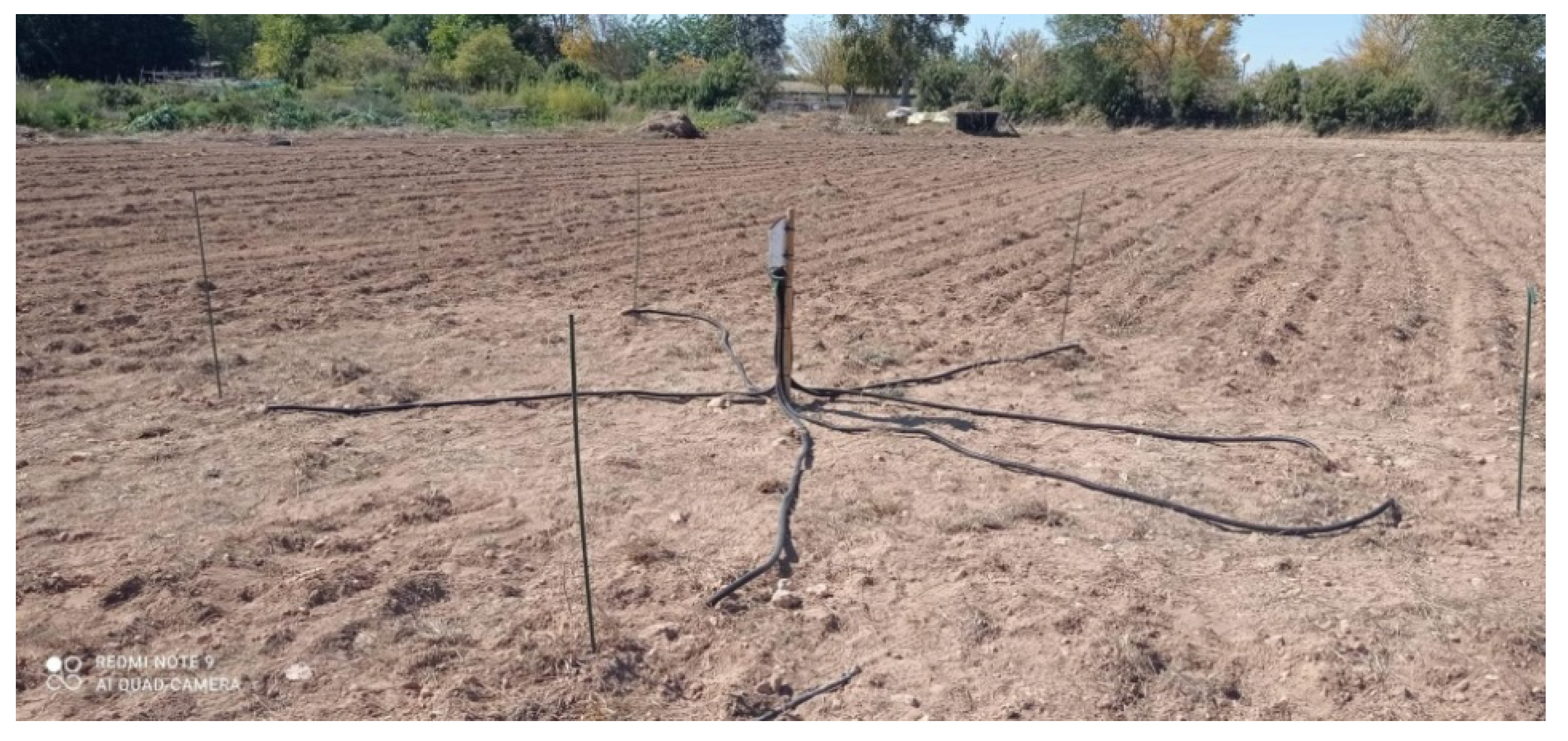 Remotesensing 13 04968 g004