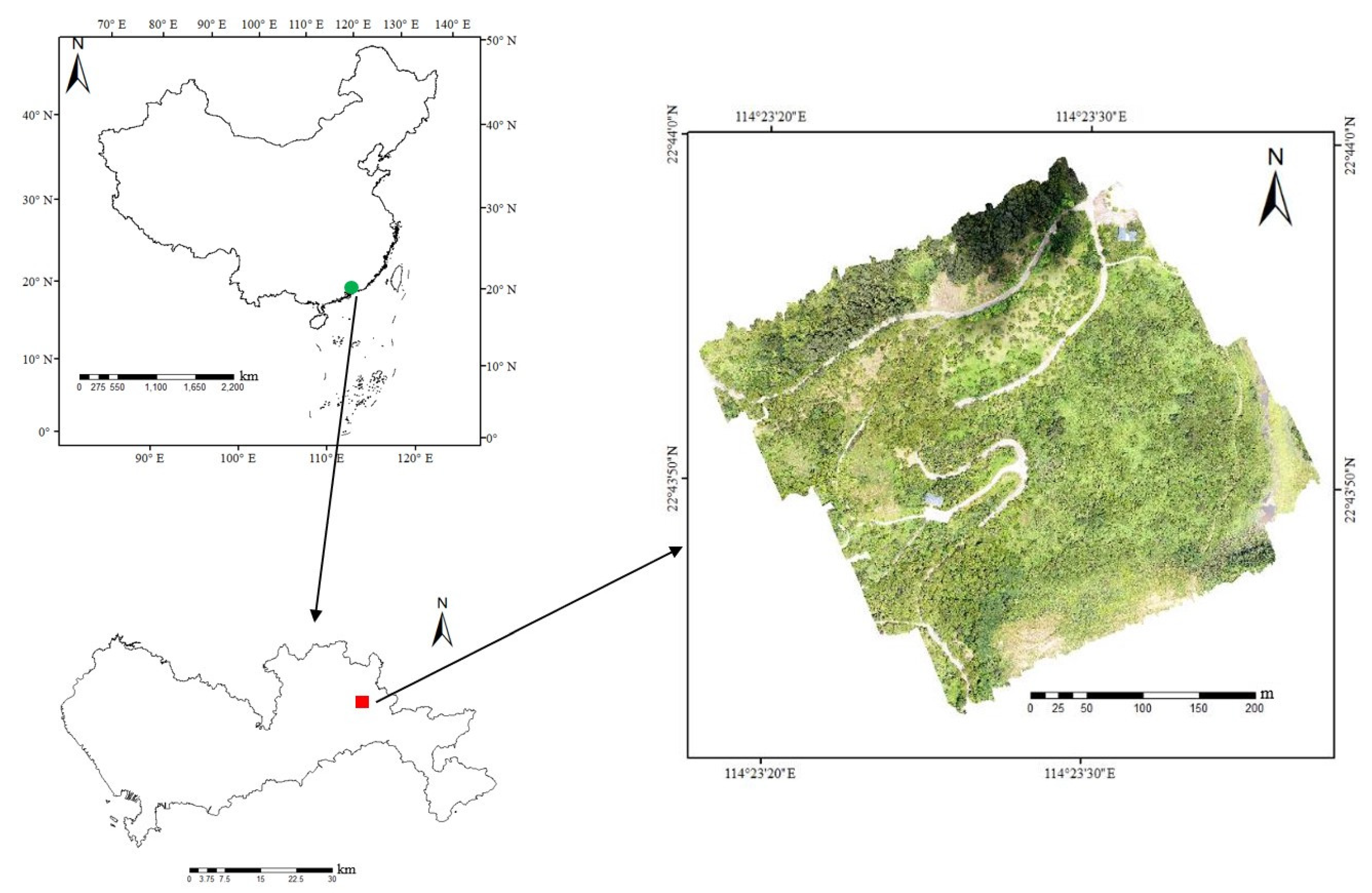Remotesensing 13 04969 g001