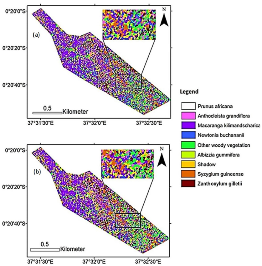 Remotesensing 13 04970 g011