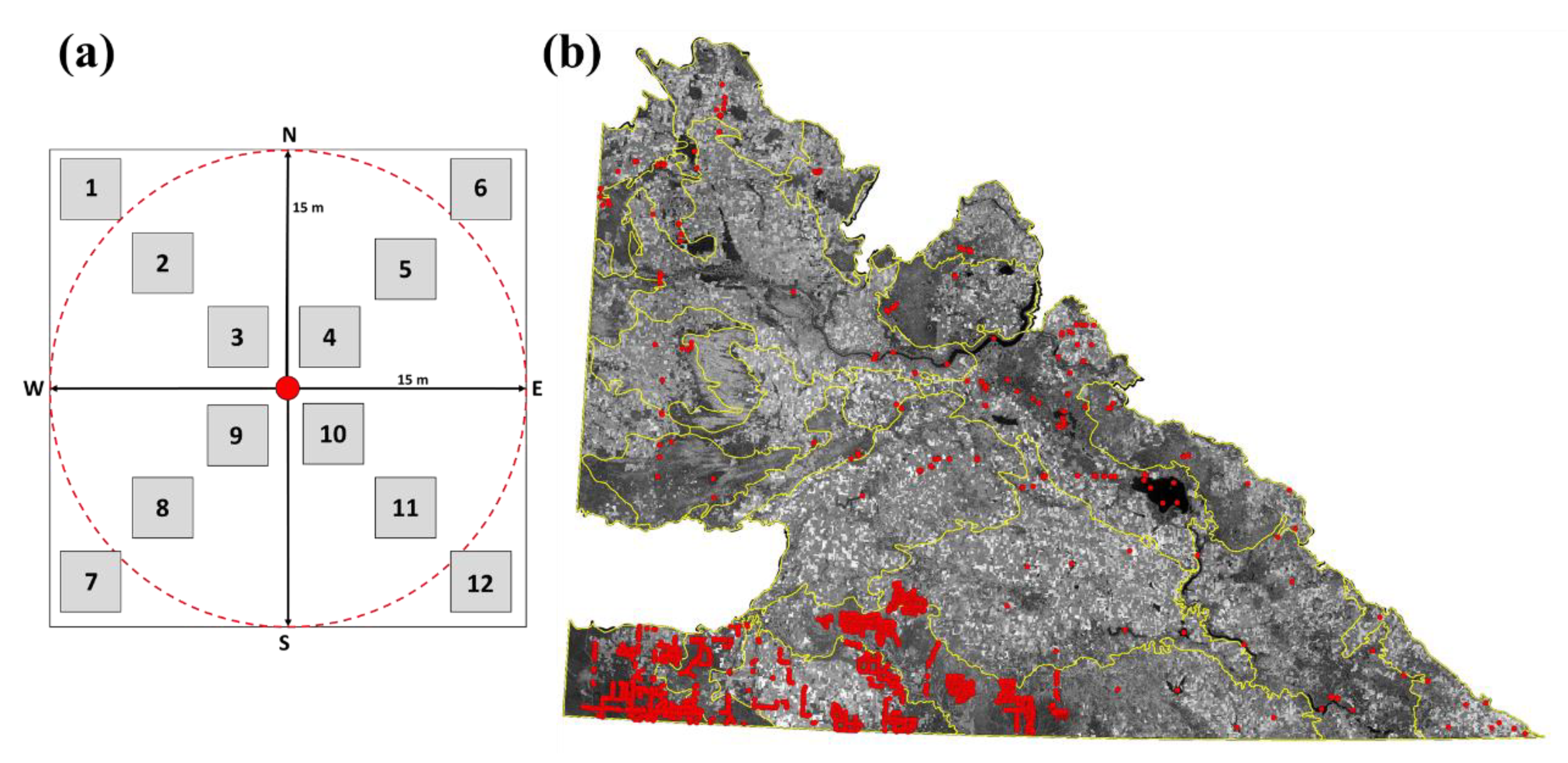 Remotesensing 13 04972 g002