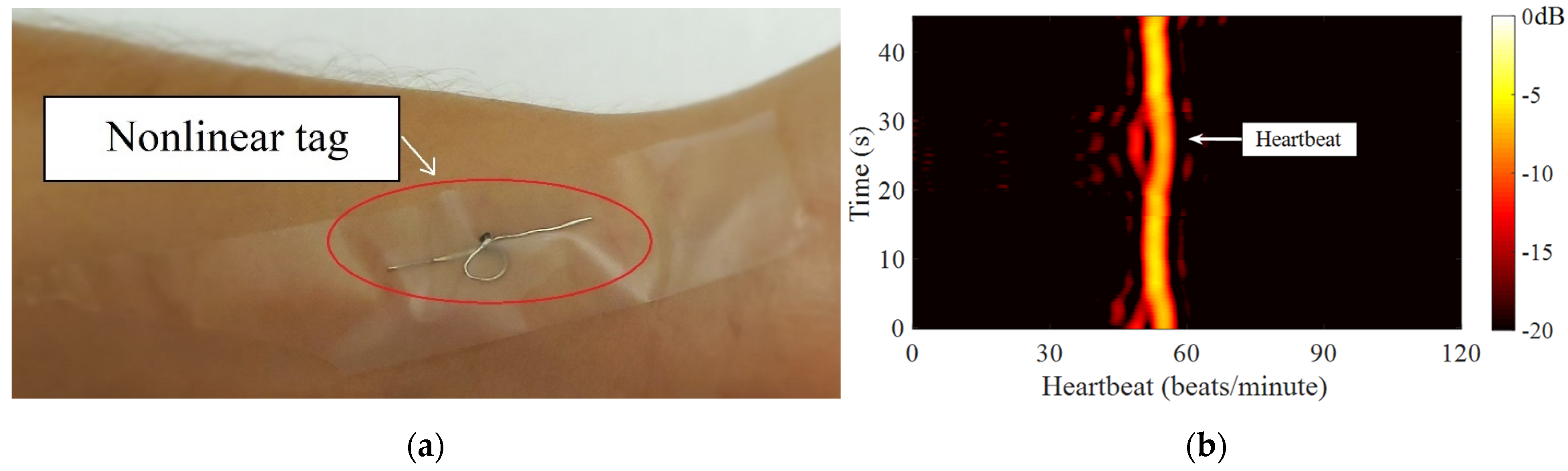 Remotesensing 13 04982 g014