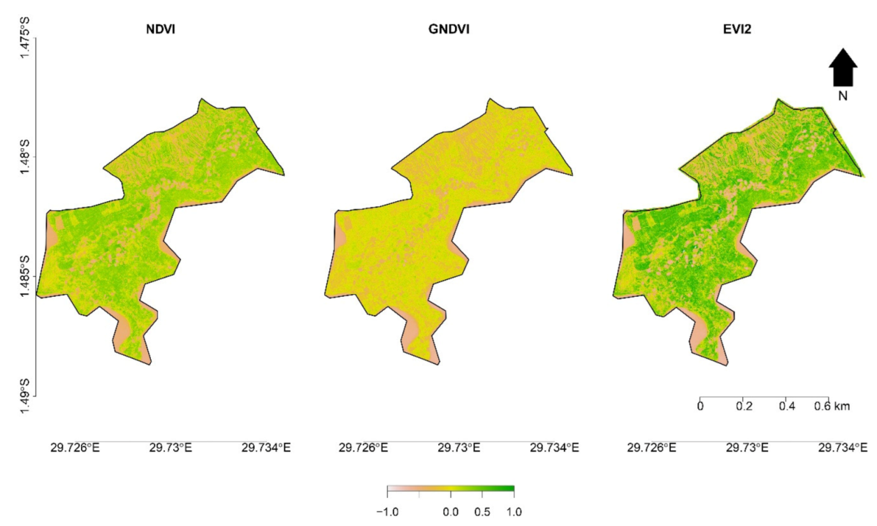 Remotesensing 13 04985 g003
