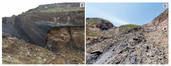 Remotesensing 13 04990 g002 550